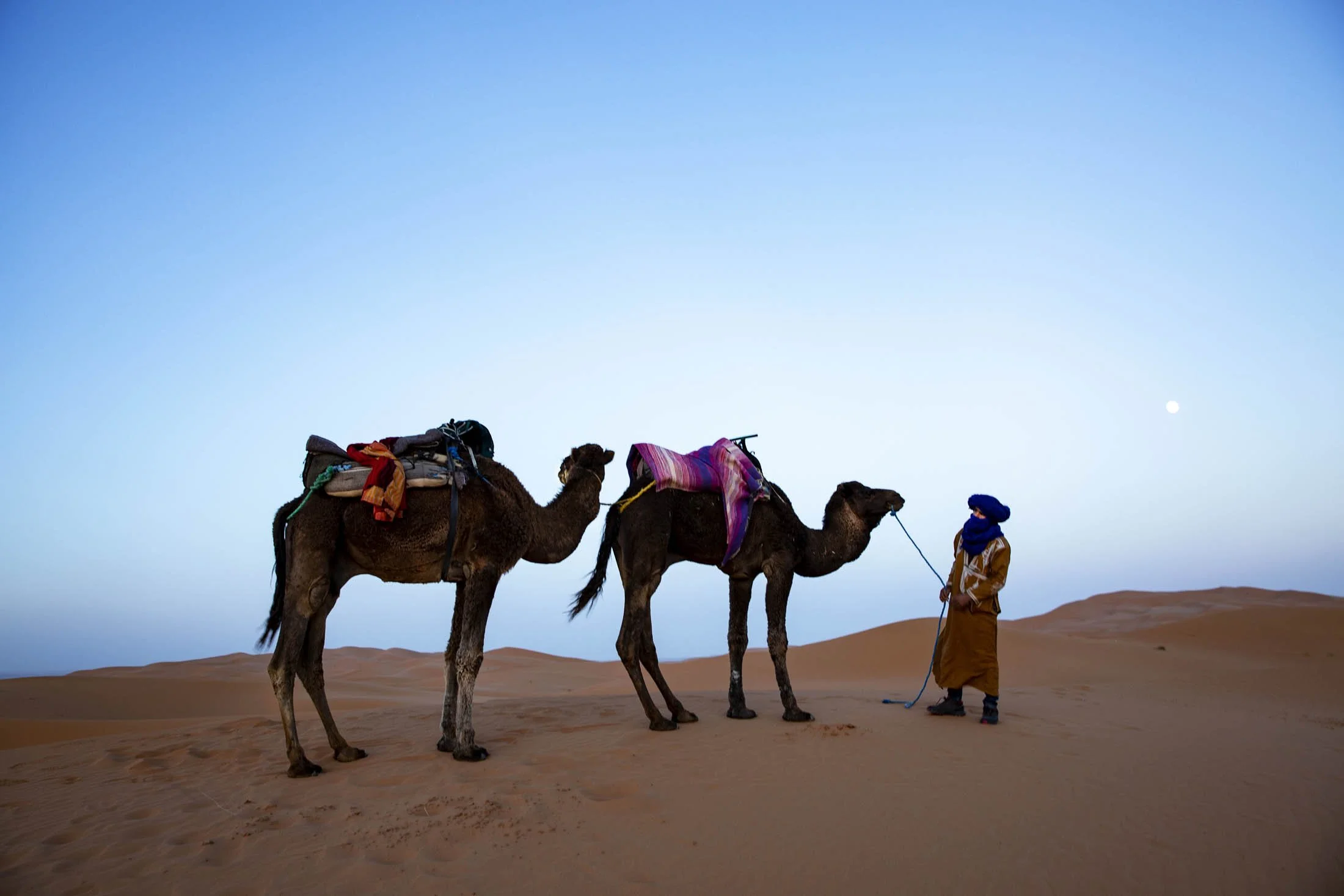 07Morocco1114202409090707.jpg