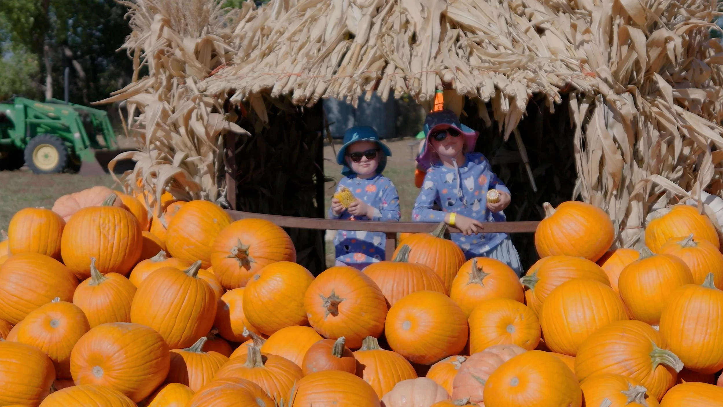 Two children in sun hats and sunglasses standing behind a row of pumpkins and in front of a straw shelter at a pumpkin patch.