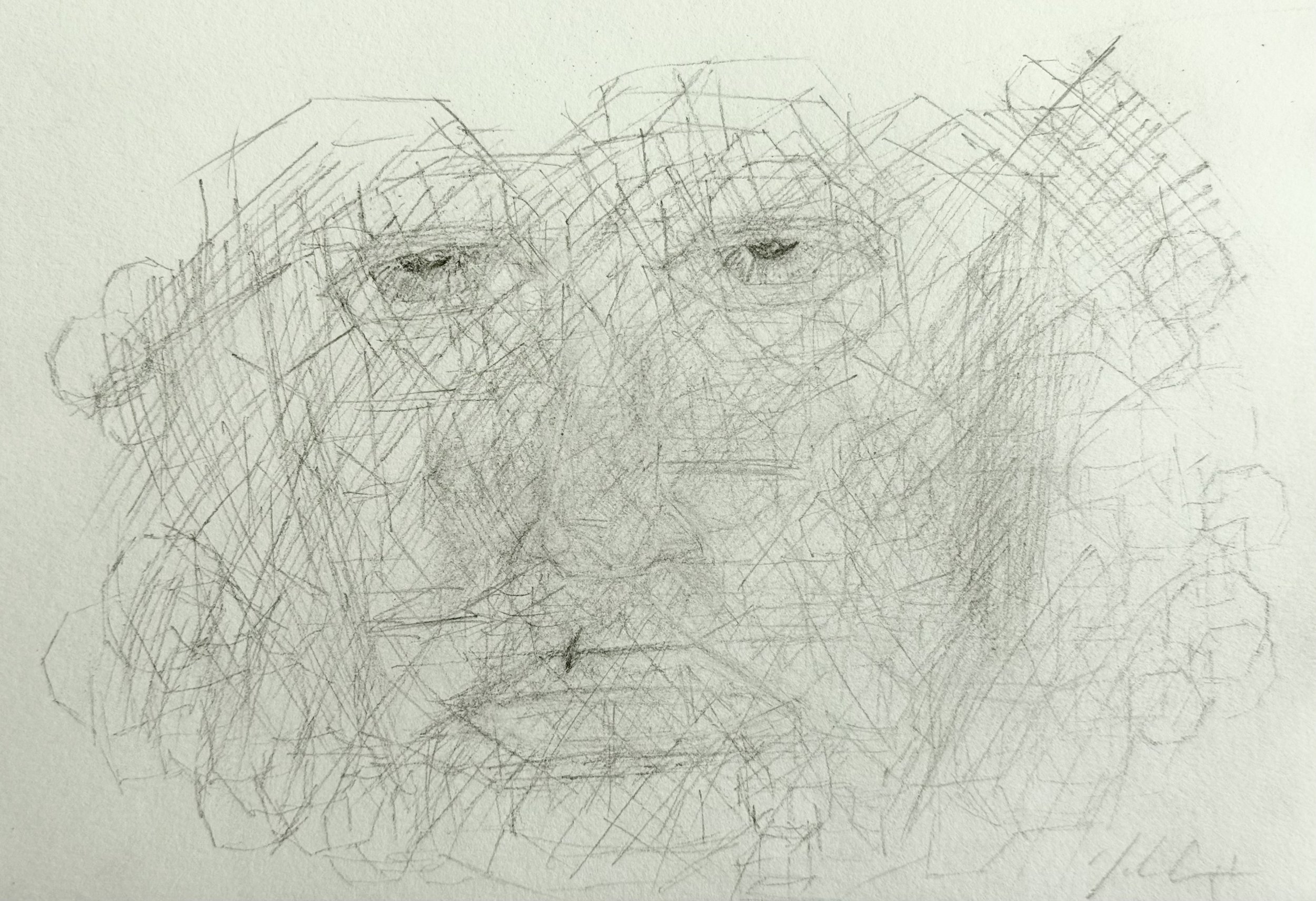 'all my hidden layers involve scars'