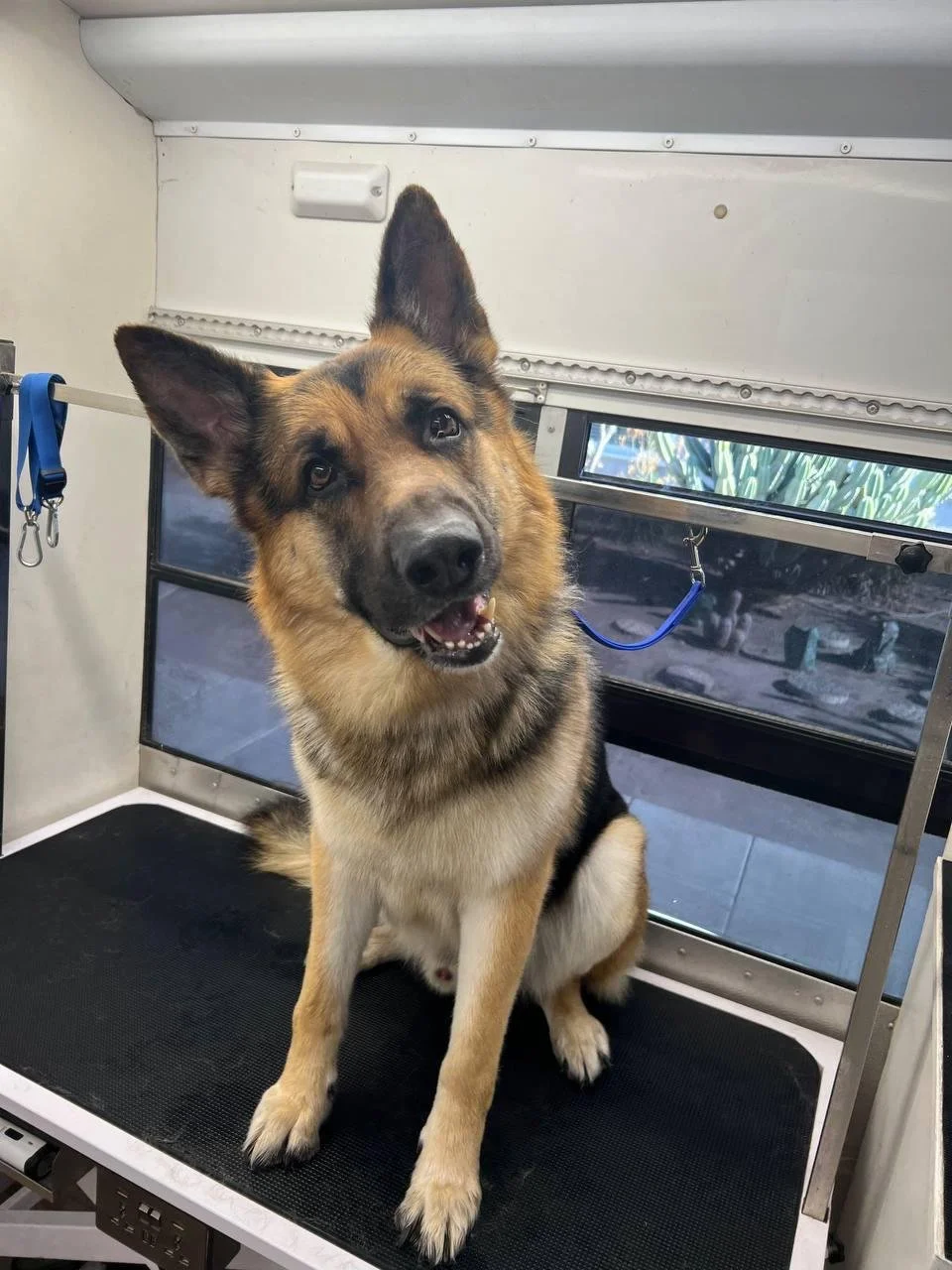 WhatsApp Image 2025-01-17 at 11.41.53 (2).jpeg