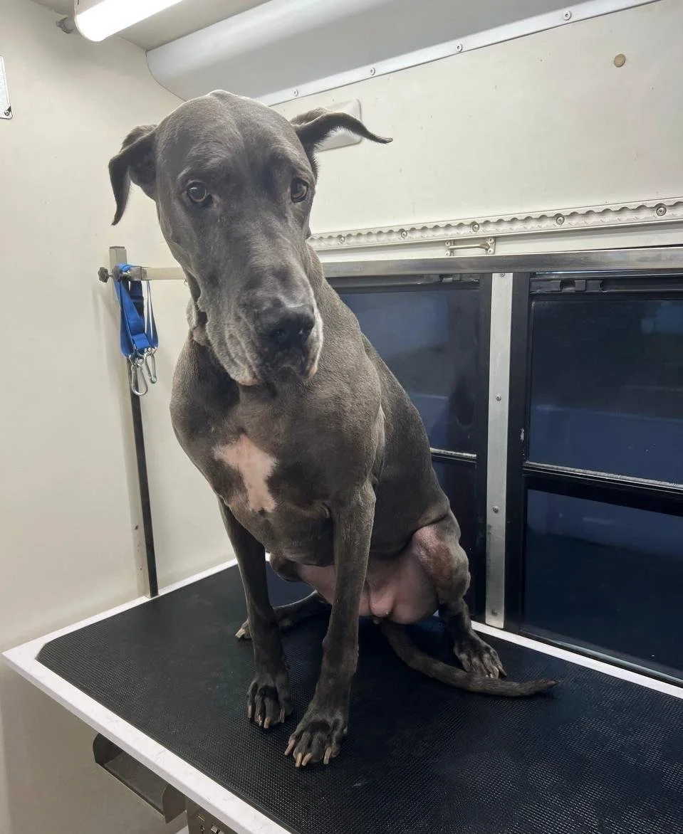 WhatsApp Image 2025-01-17 at 11.57.28.jpeg