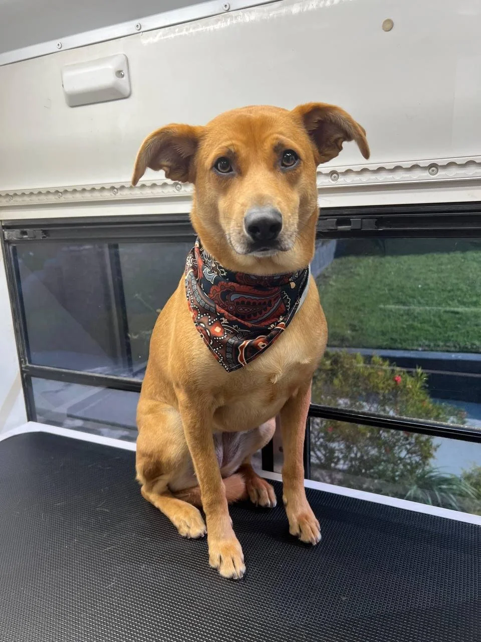 WhatsApp Image 2025-01-17 at 11.41.53 (1).jpeg