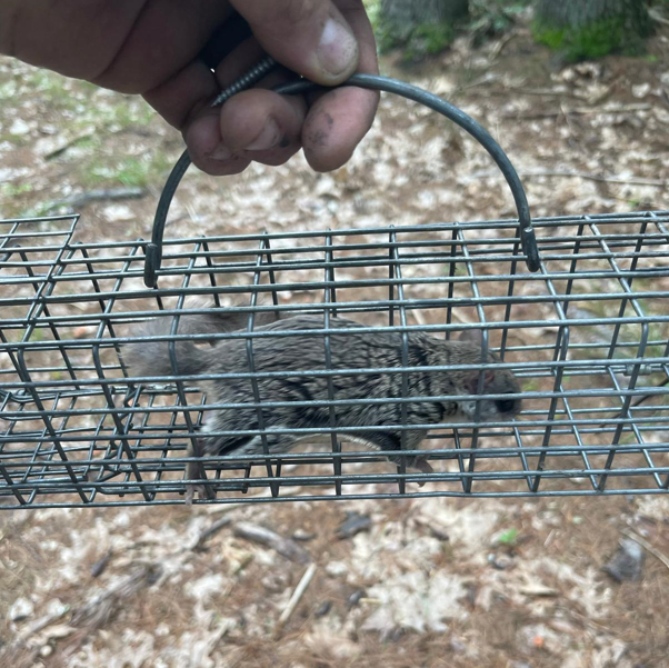 Commercial Pest Control Scranton | Pest control in Scranton PA