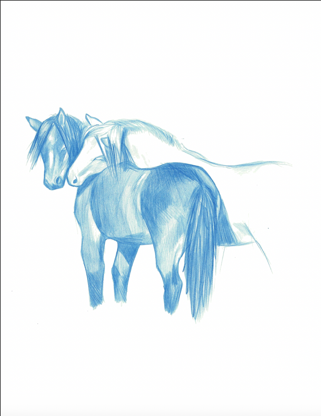 Brokeback Horses Illustration Print