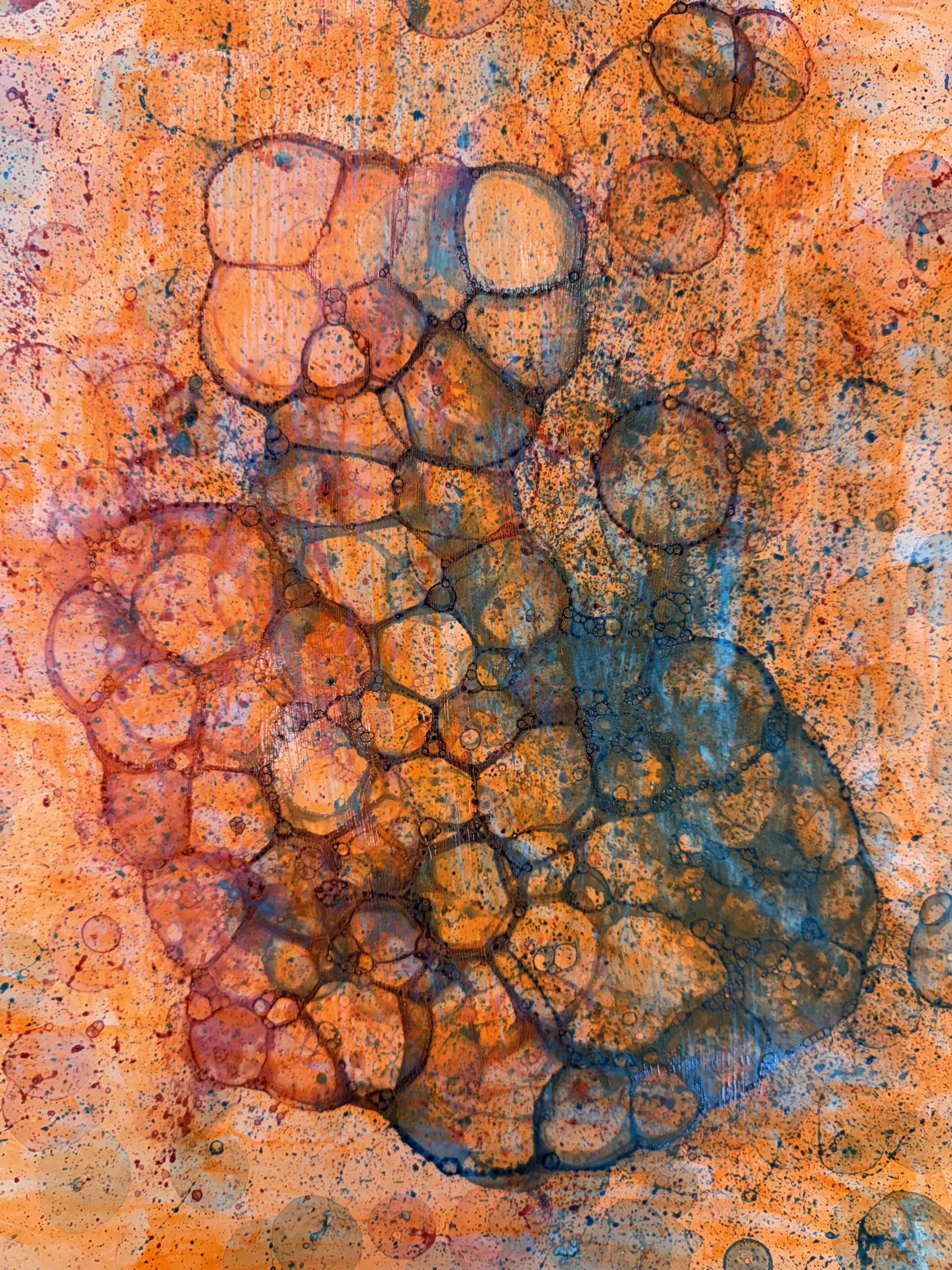 Brighton Primary School - Term 2: Tuesday