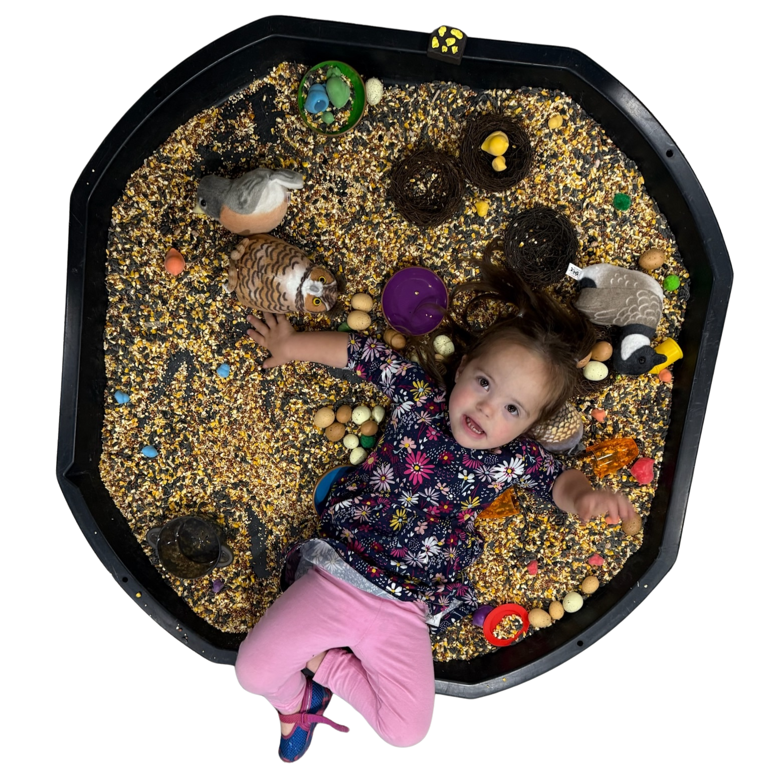 Tiny Tots Sensory Play Group