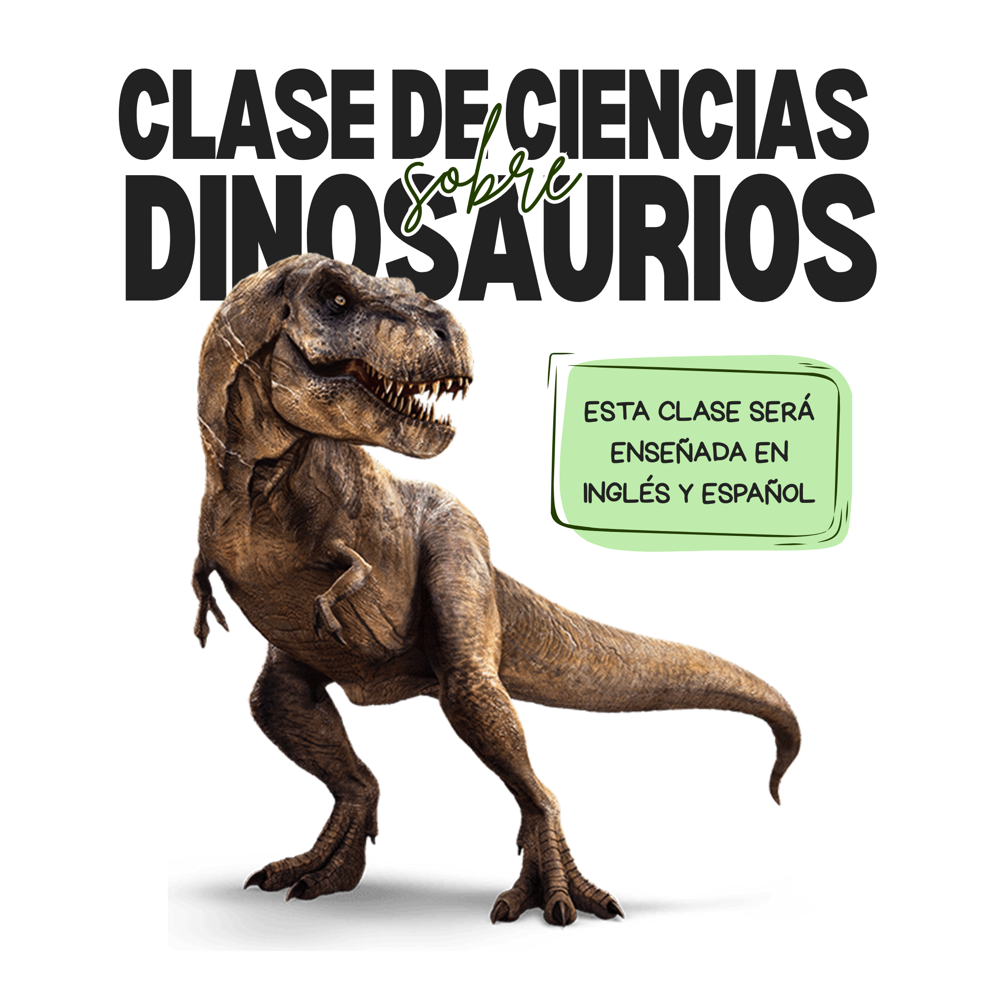 Bilingual Dinosaur STEM Class / Clase de ciencias sobre dinosaurios