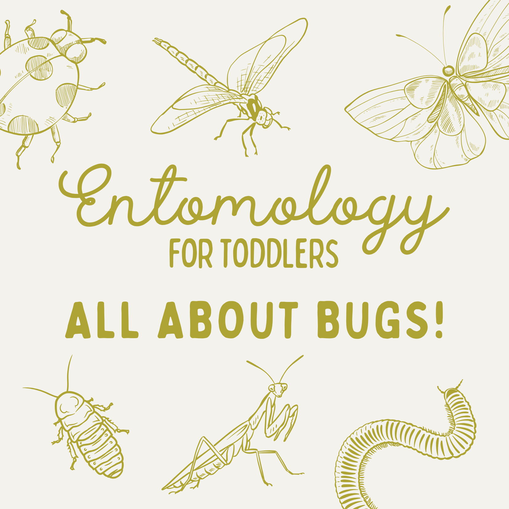 Entomology for Toddlers (All About Bugs!)