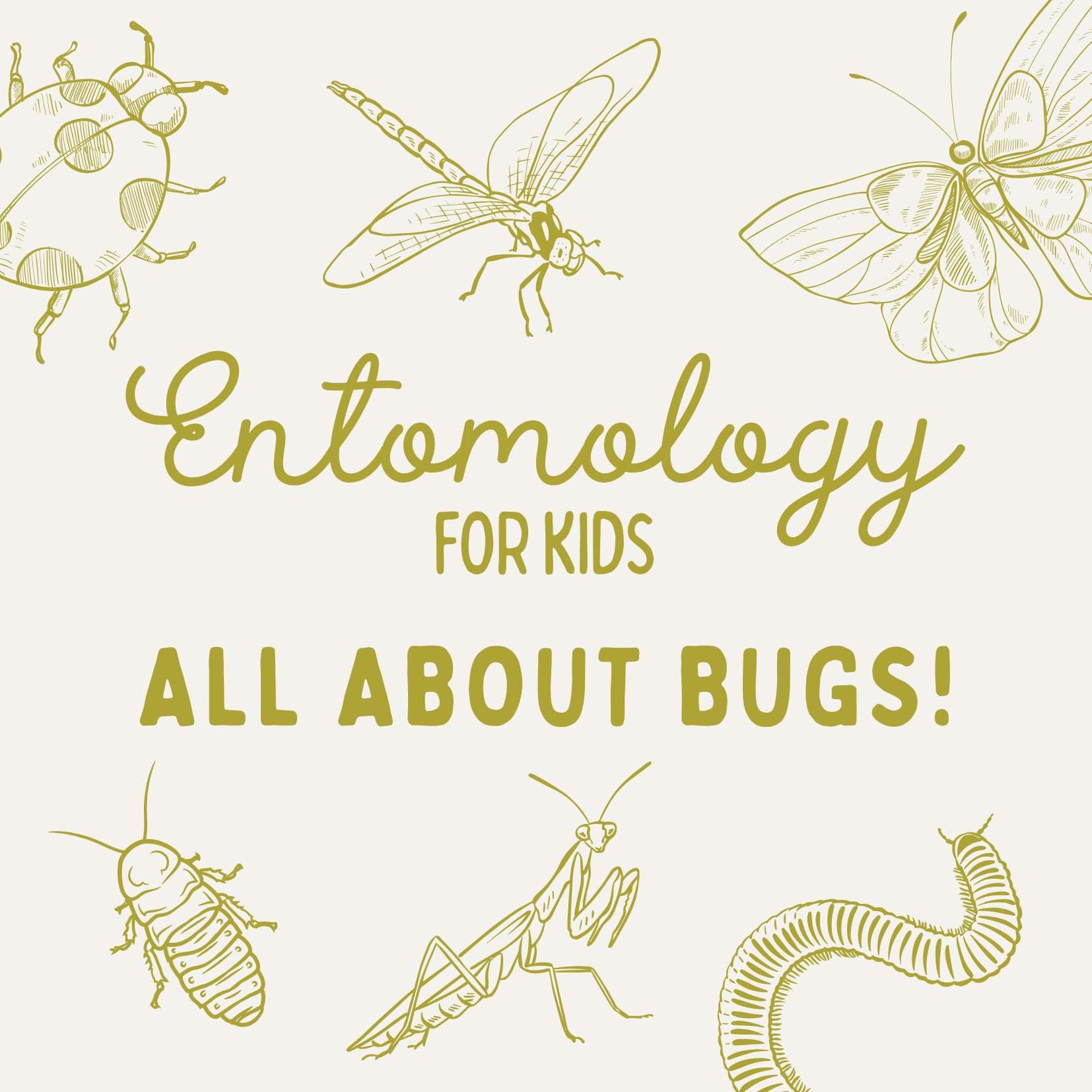Entomology for Toddlers (All About Bugs!)