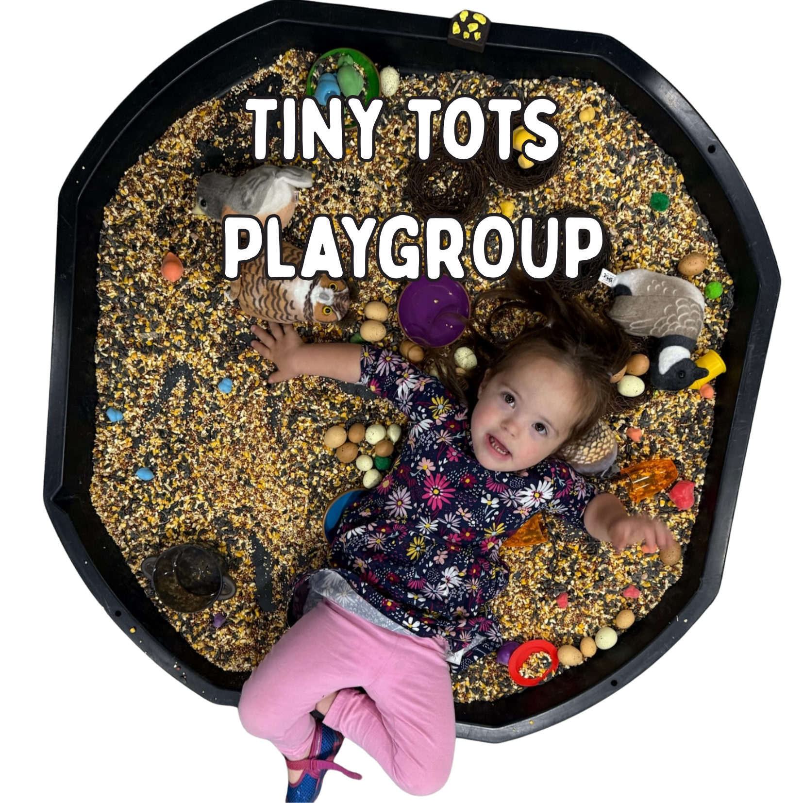 Tiny Tots Playgroup