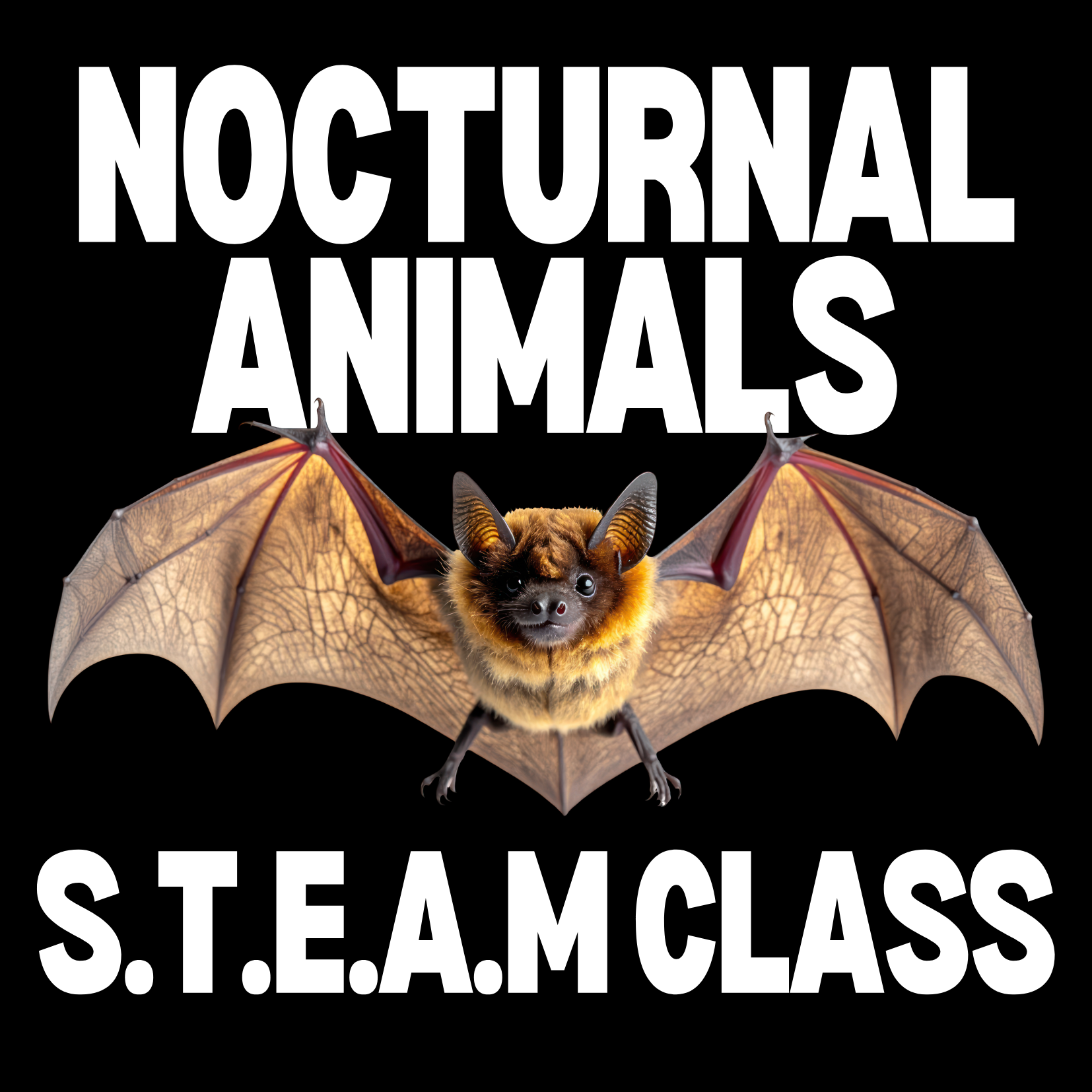Nocturnal Animals Exploration