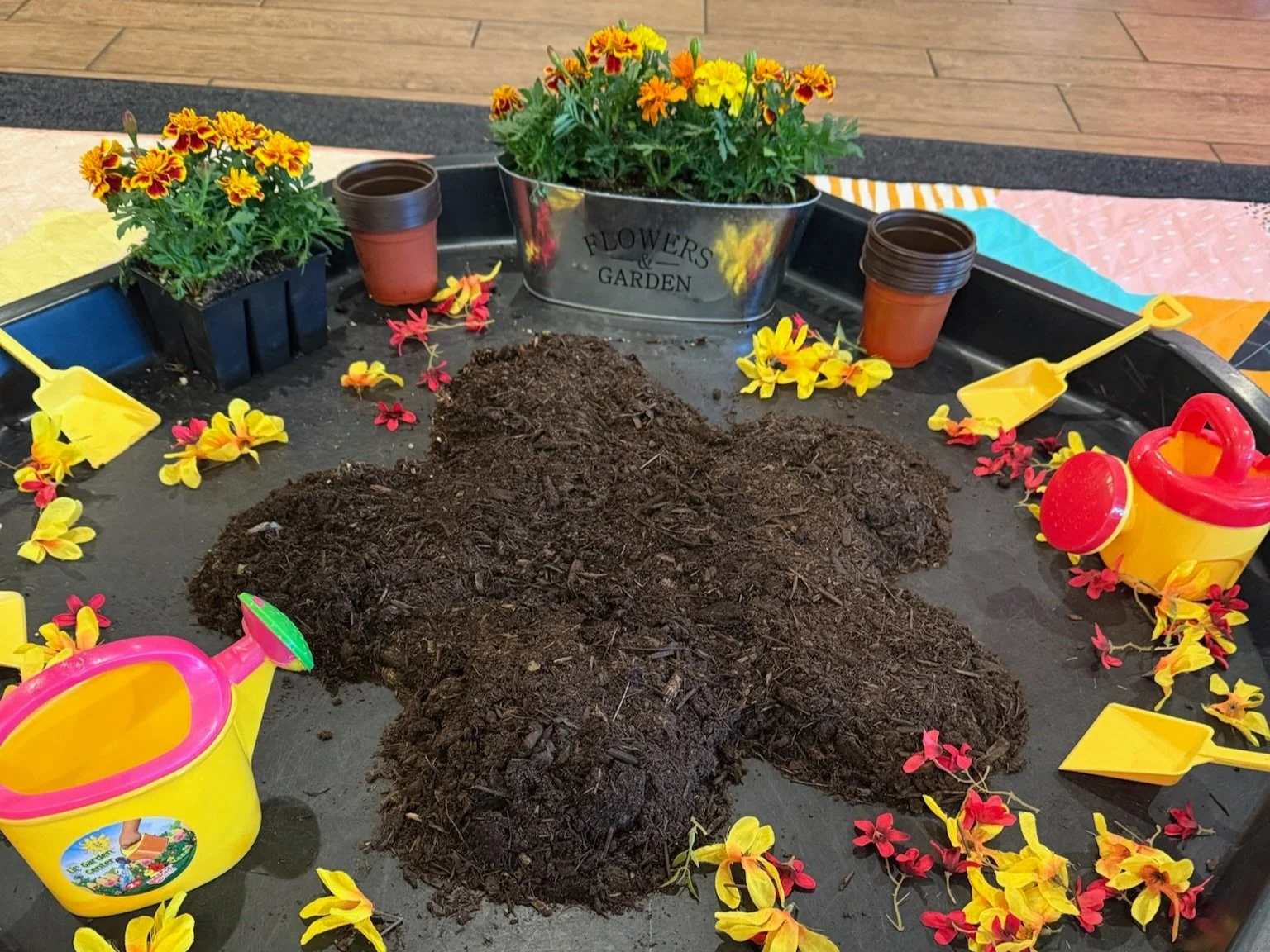 Soil in the shape of a flower surrounded by small pots, toy shovels, and live flowers ready to be planted