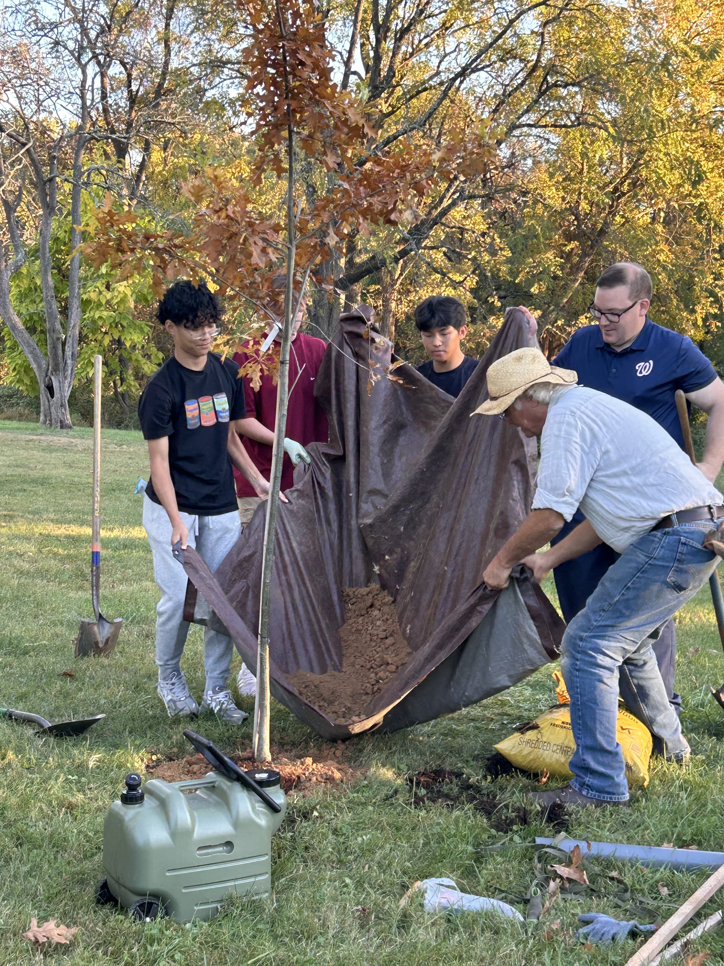 A group of six people planting a young tree outdoors in a park during autumn, some holding a tarp around the base of the tree, with gardening tools, soil, and a water container nearby.