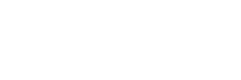 White logo of a tree next to the text 'McLean Trees Foundation' on a black background.