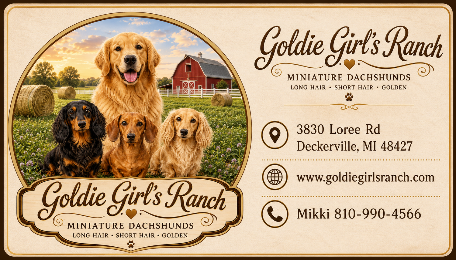 Goldie Girls’ Ranch 