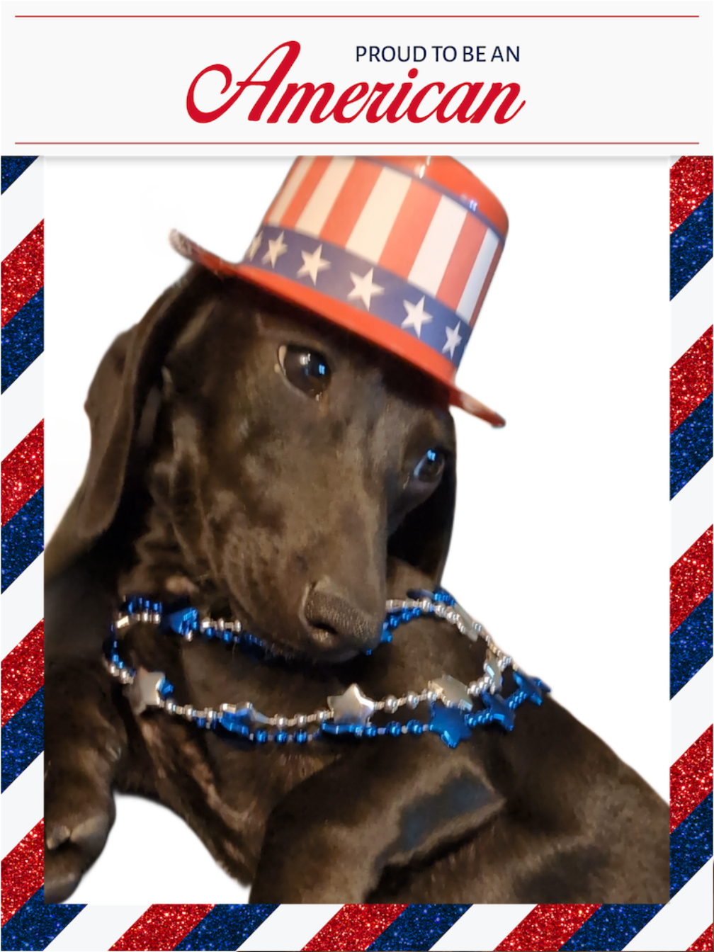 4721421806271681674 2.png