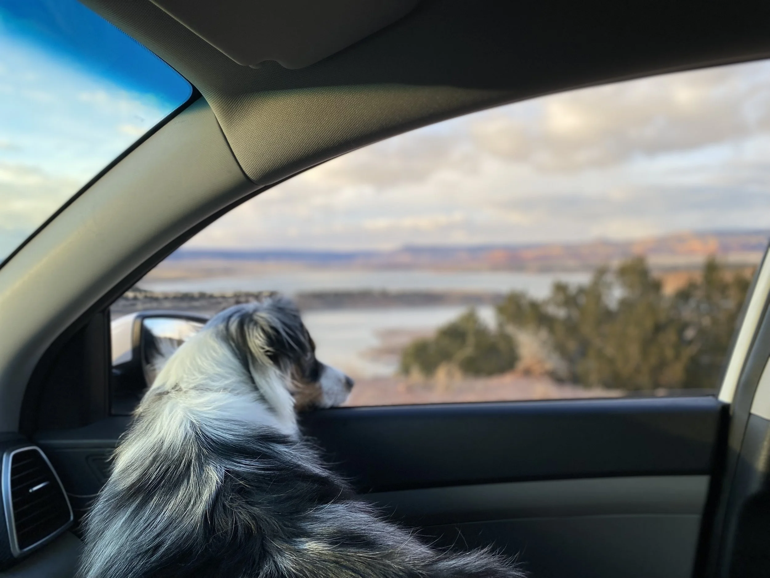 To Dad: Happy Father’s Day