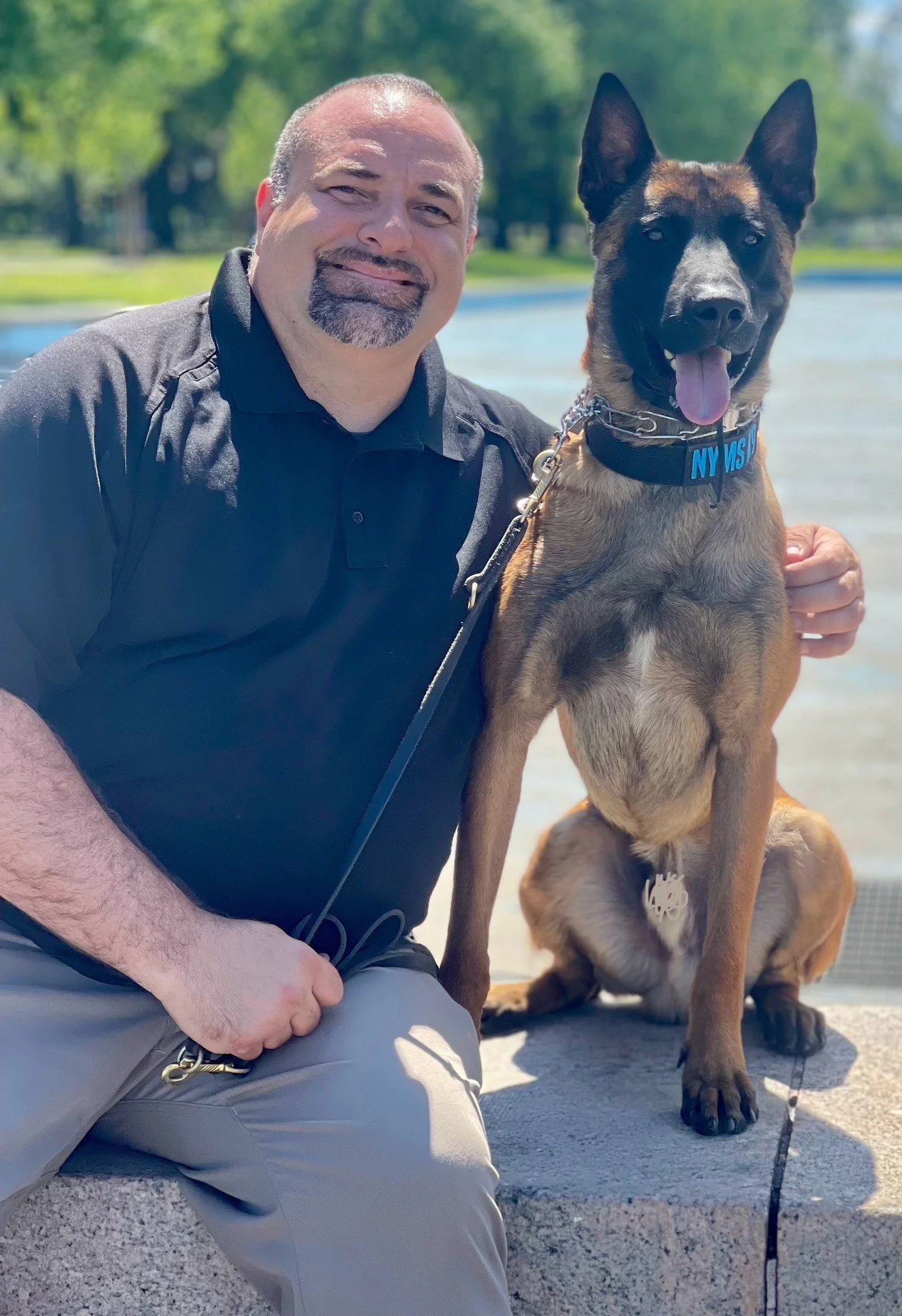 Explosives and Firearm Detection K9