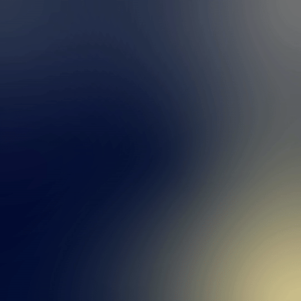 OOC-DD-Market Perspectives-13.gif