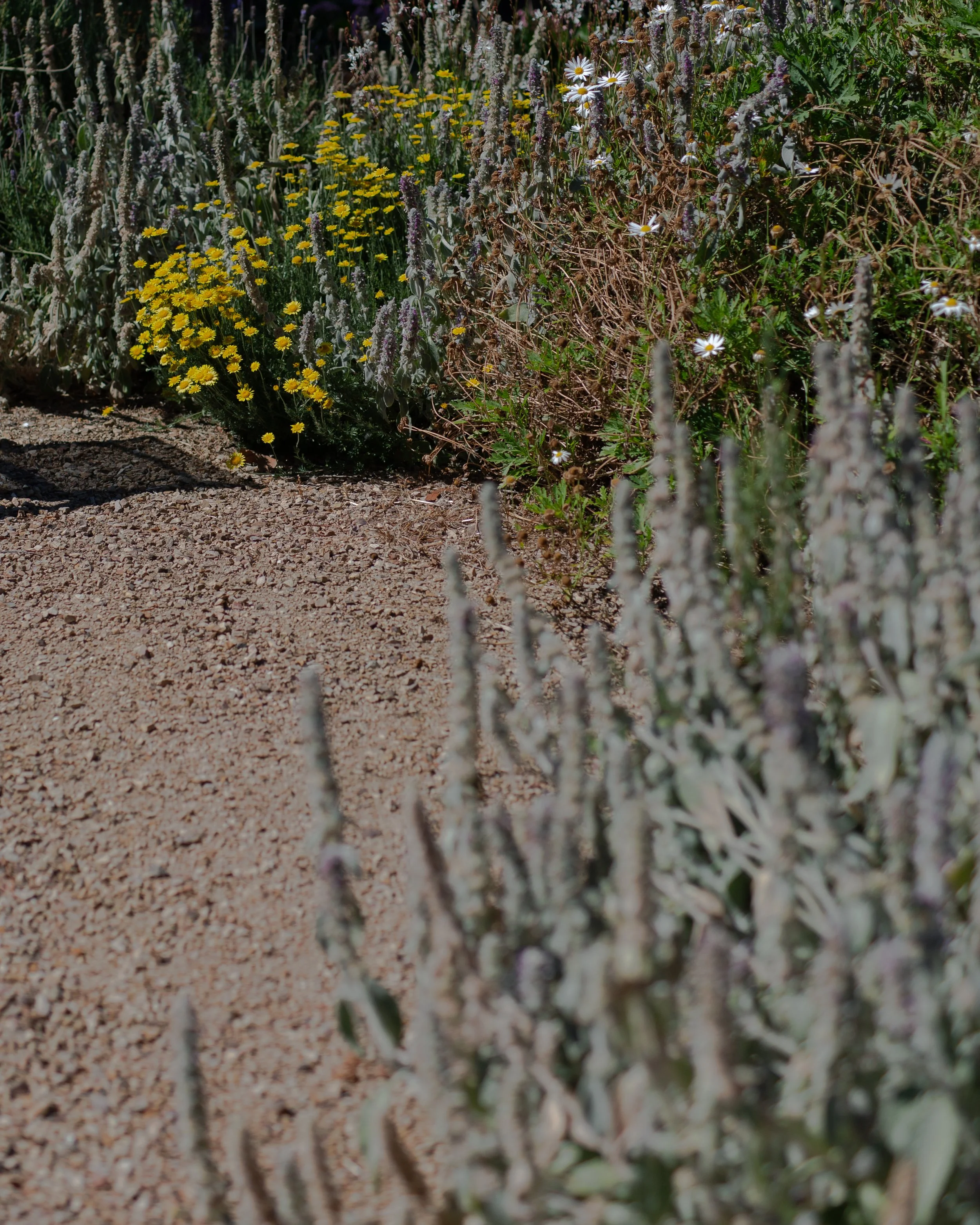 woodbine cottage-148.jpg