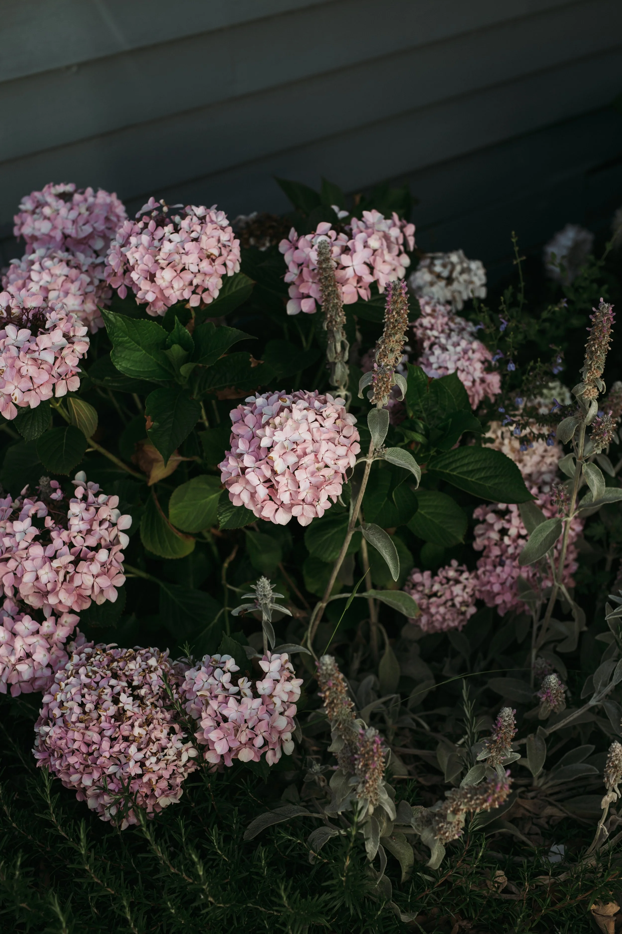 woodbine cottage-093.jpg