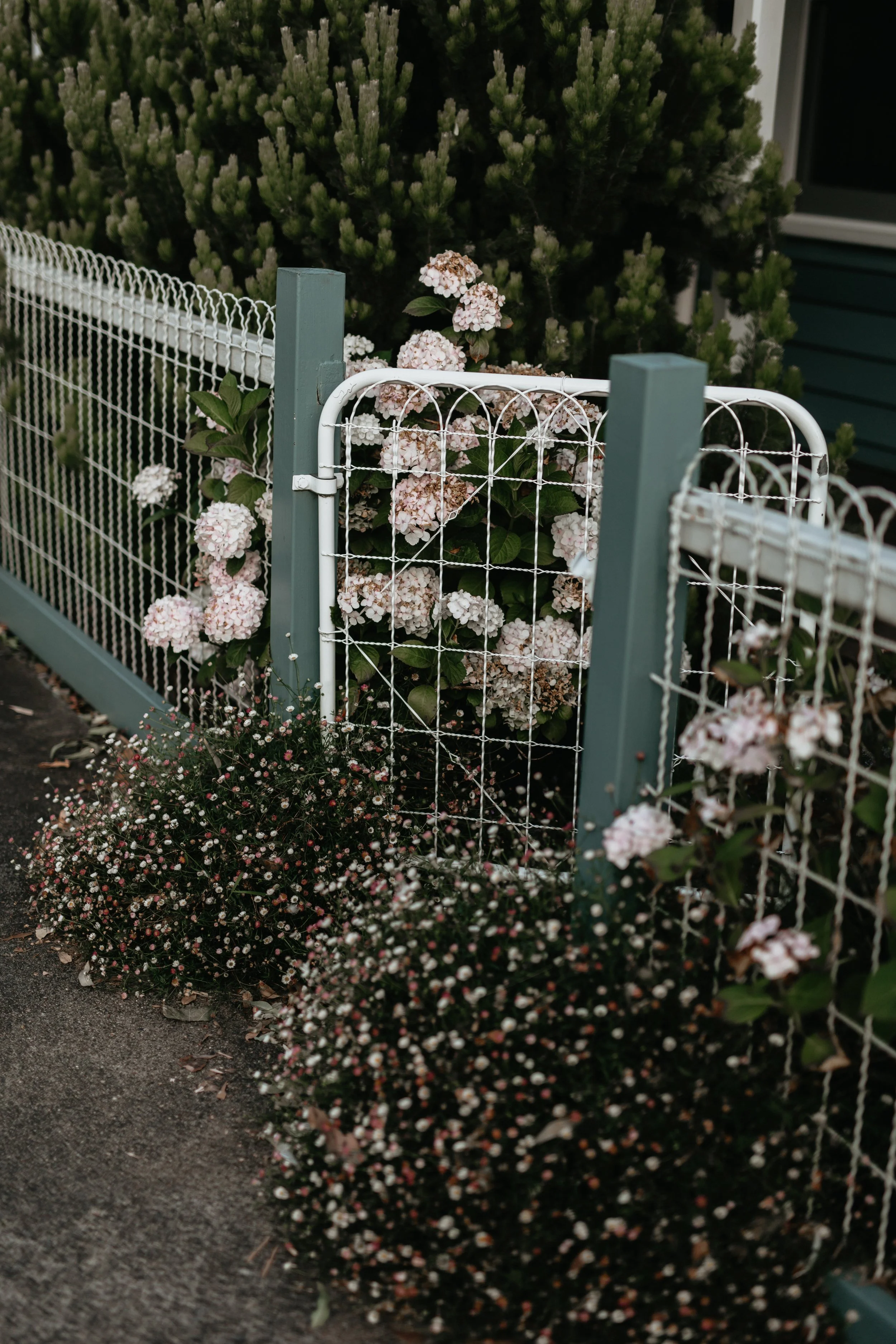 woodbine cottage-52.jpg