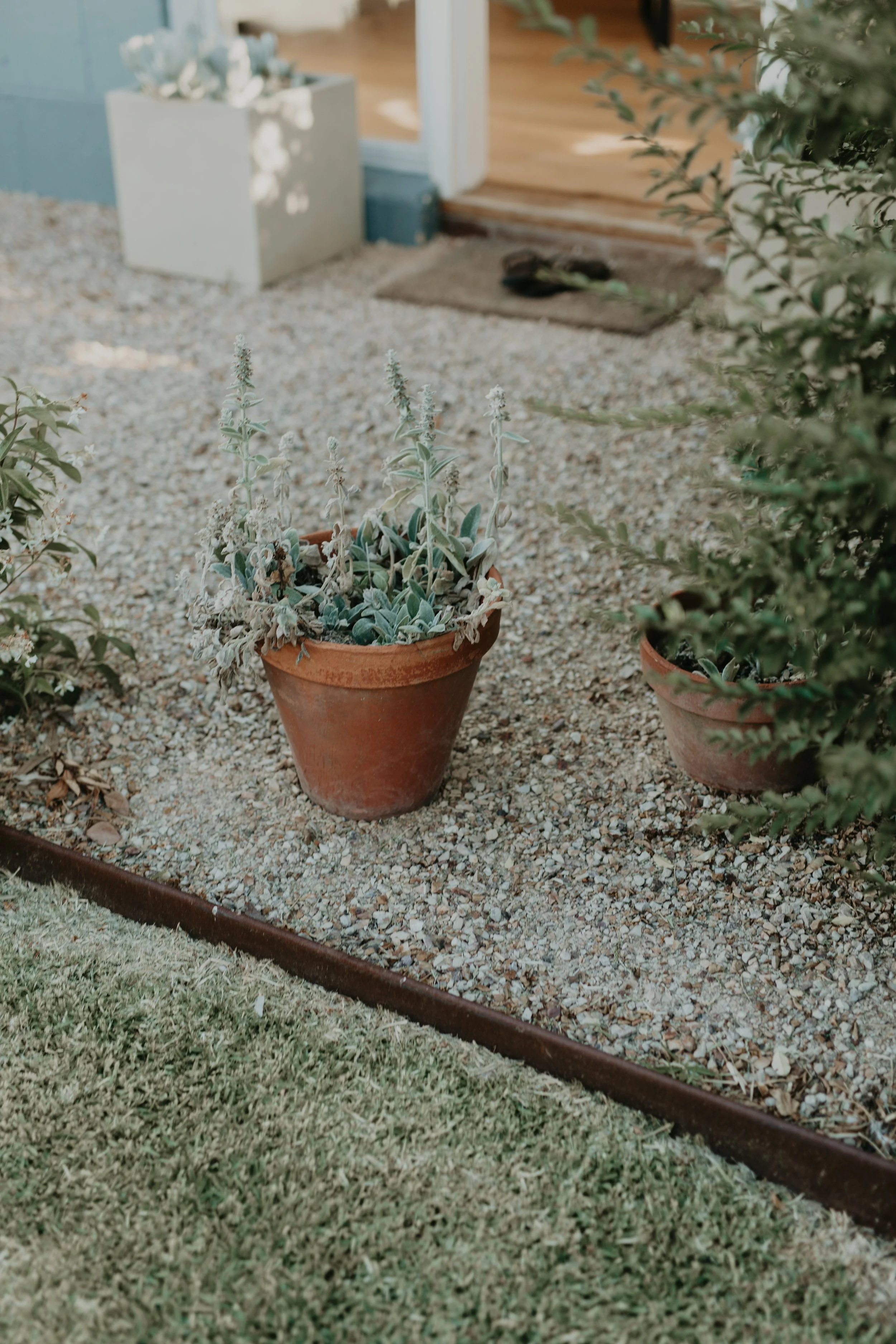 woodbine cottage-146.jpg