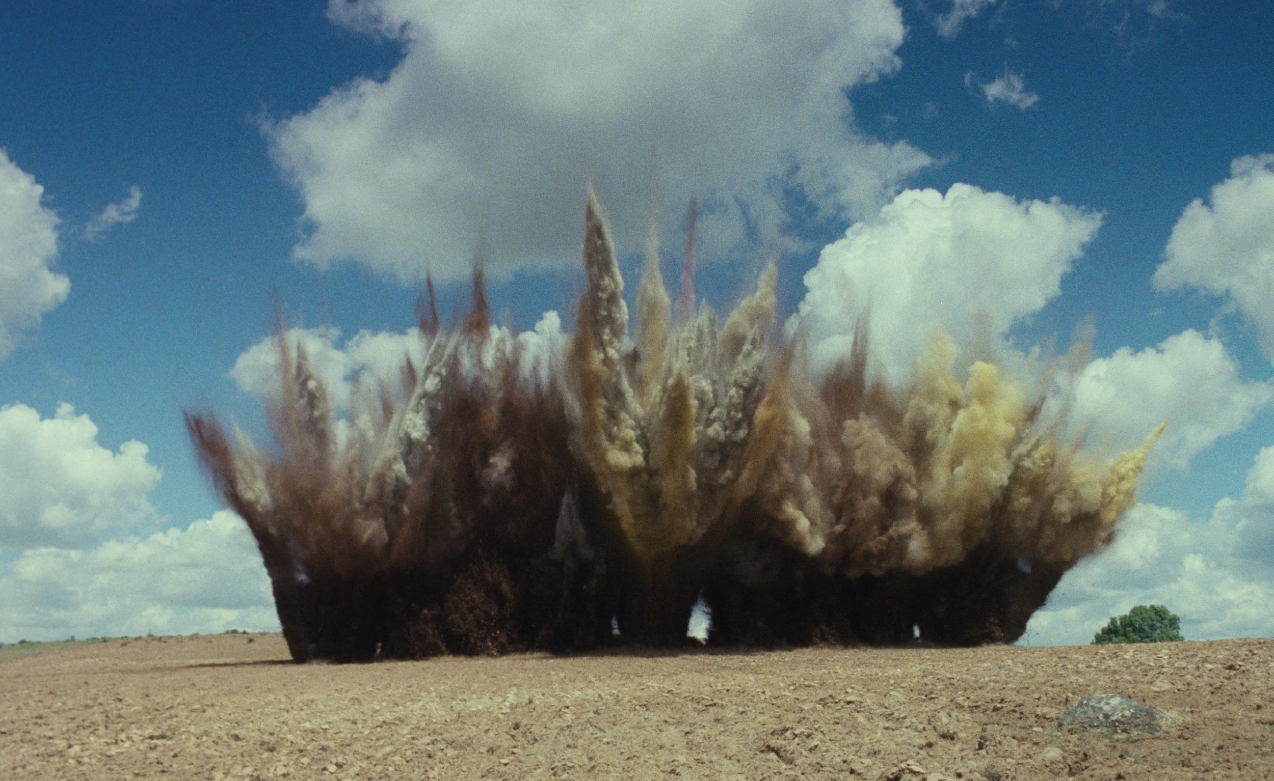 The Life of Forms: An Interview on Rosa de Areia