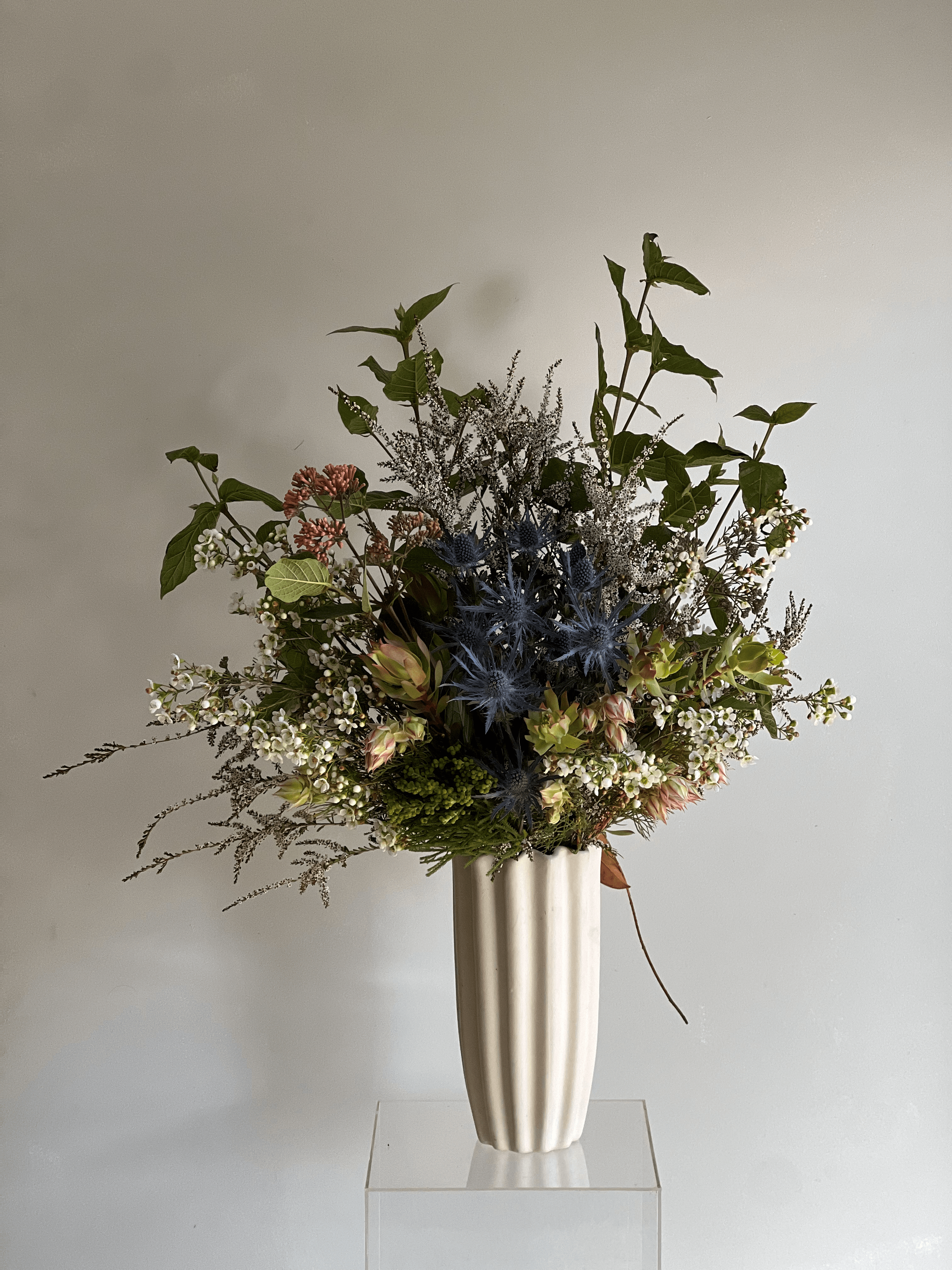 coolum+florist.flax+flower+florist.sunshine+coast+florist.native+a-min.png