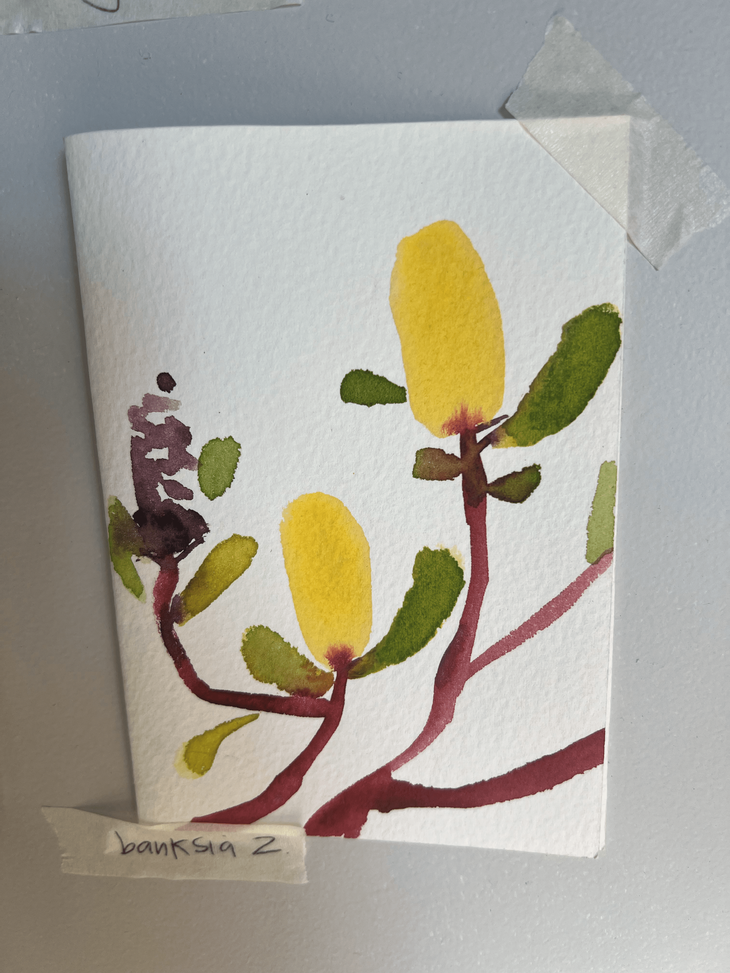 Gift+cards.handmade+cards.painted+cards.native+flower.locally+made.wattle+painting+-min.png