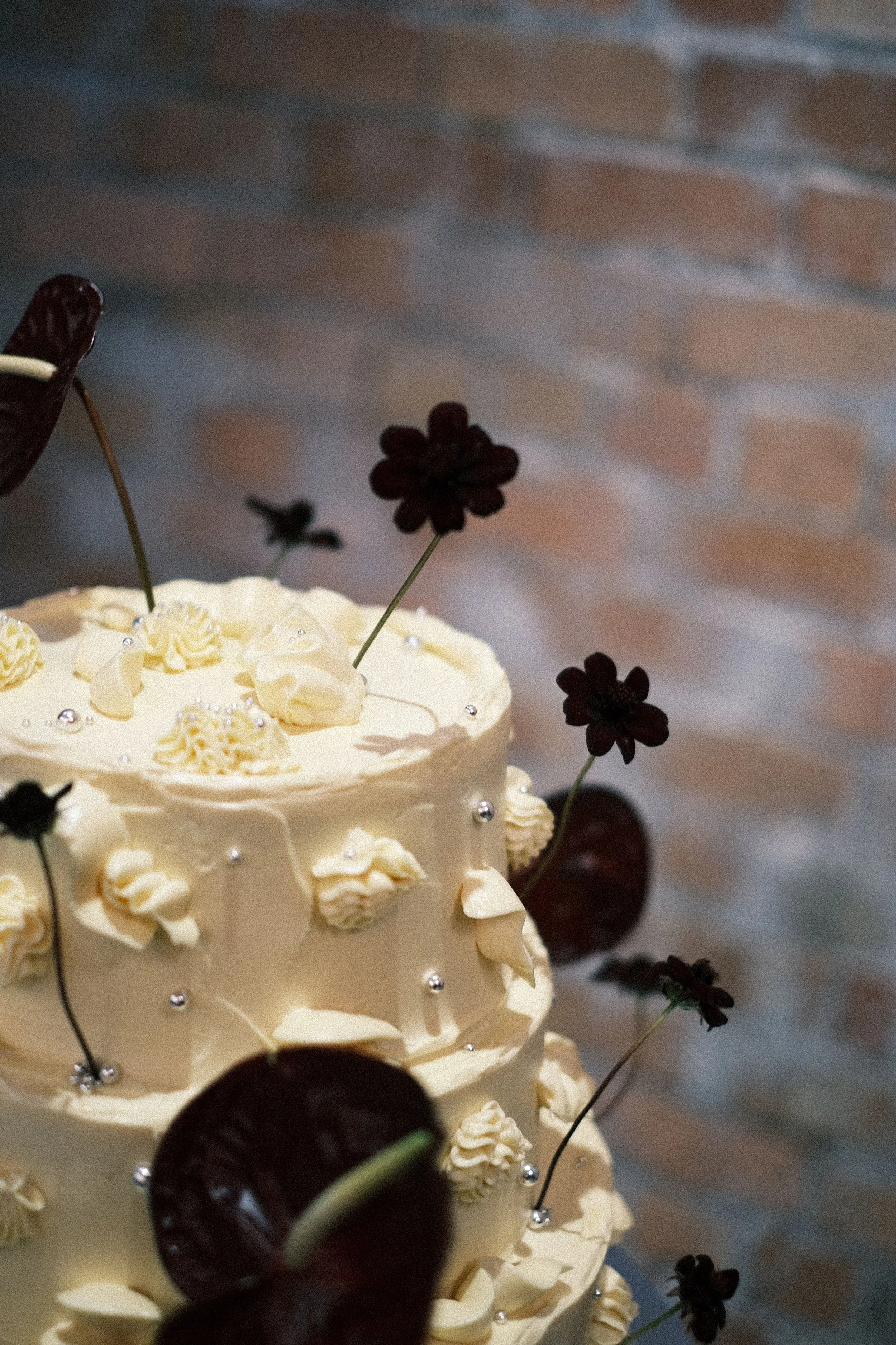A multi-tiered white cake decorated with white cream rosettes, silver edible beads, and surrounded by dark red anthuriums and chocolate cosmos, set against a blurred brick wall background.