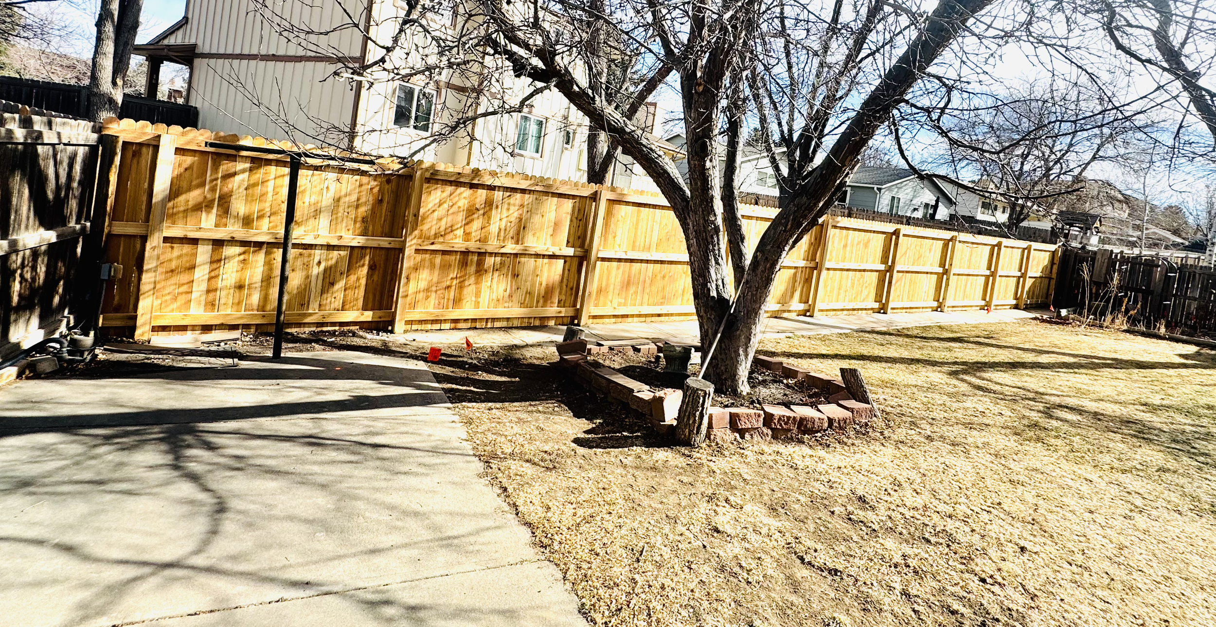 Backyard with a wooden fence, a tree with a circular brick border, and a concrete patio.