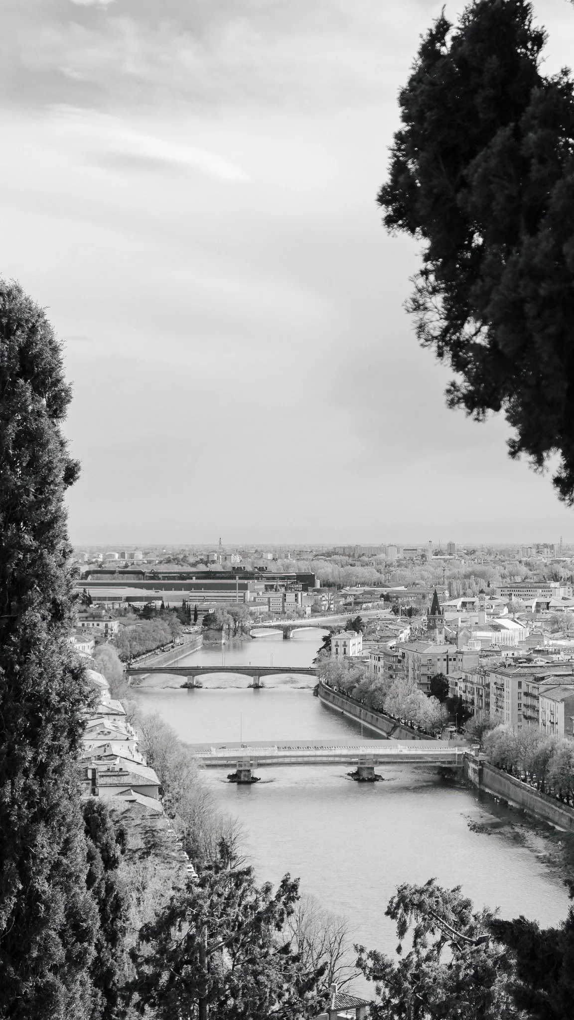 THEDIEGOGUERRA.ROME.ITALY.2023-33.jpg
