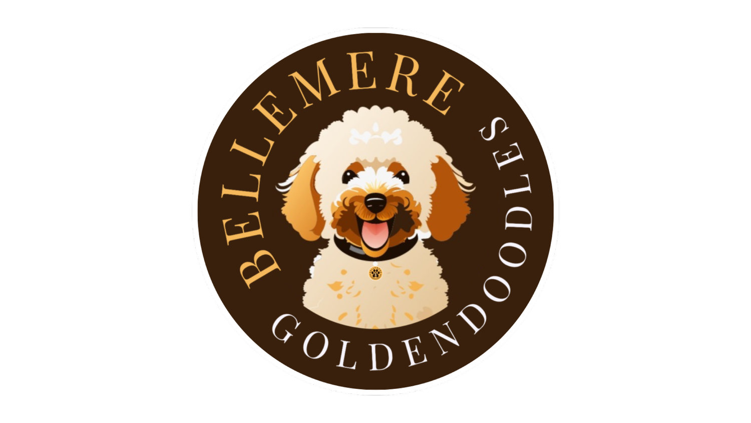 BelleMère Goldendoodles