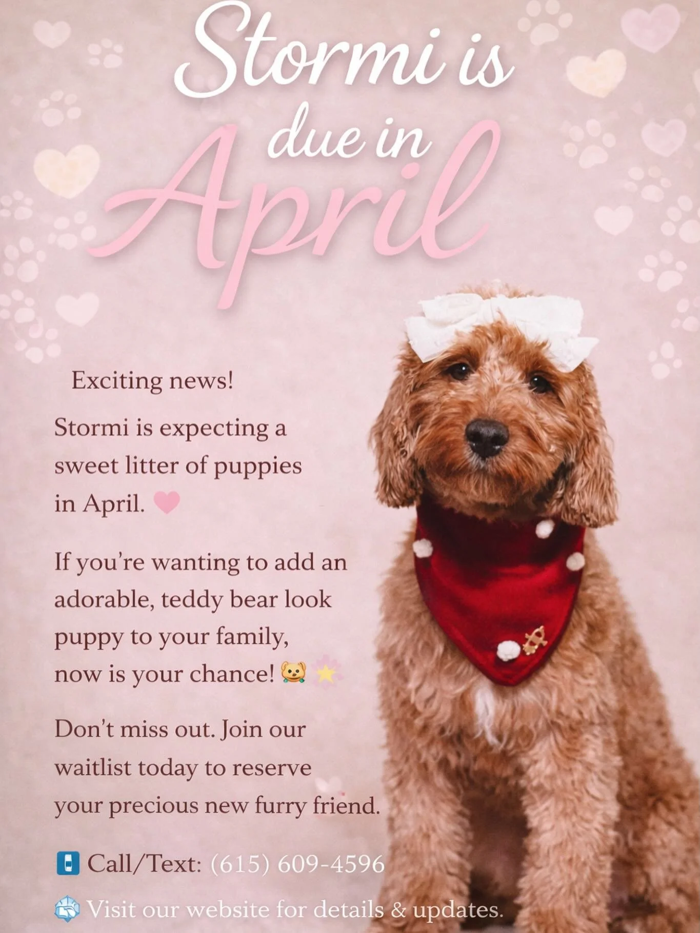 🐶✨ Our waiting list will be opening in the coming days!
Don&rsquo;t miss your chance to welcome a precious pup into your family.
Join early to secure your spot for one of our upcoming litters! 🐾🤍

📅 Go-home month: June 2026
📞 (615) 609-4596
🌐 w
