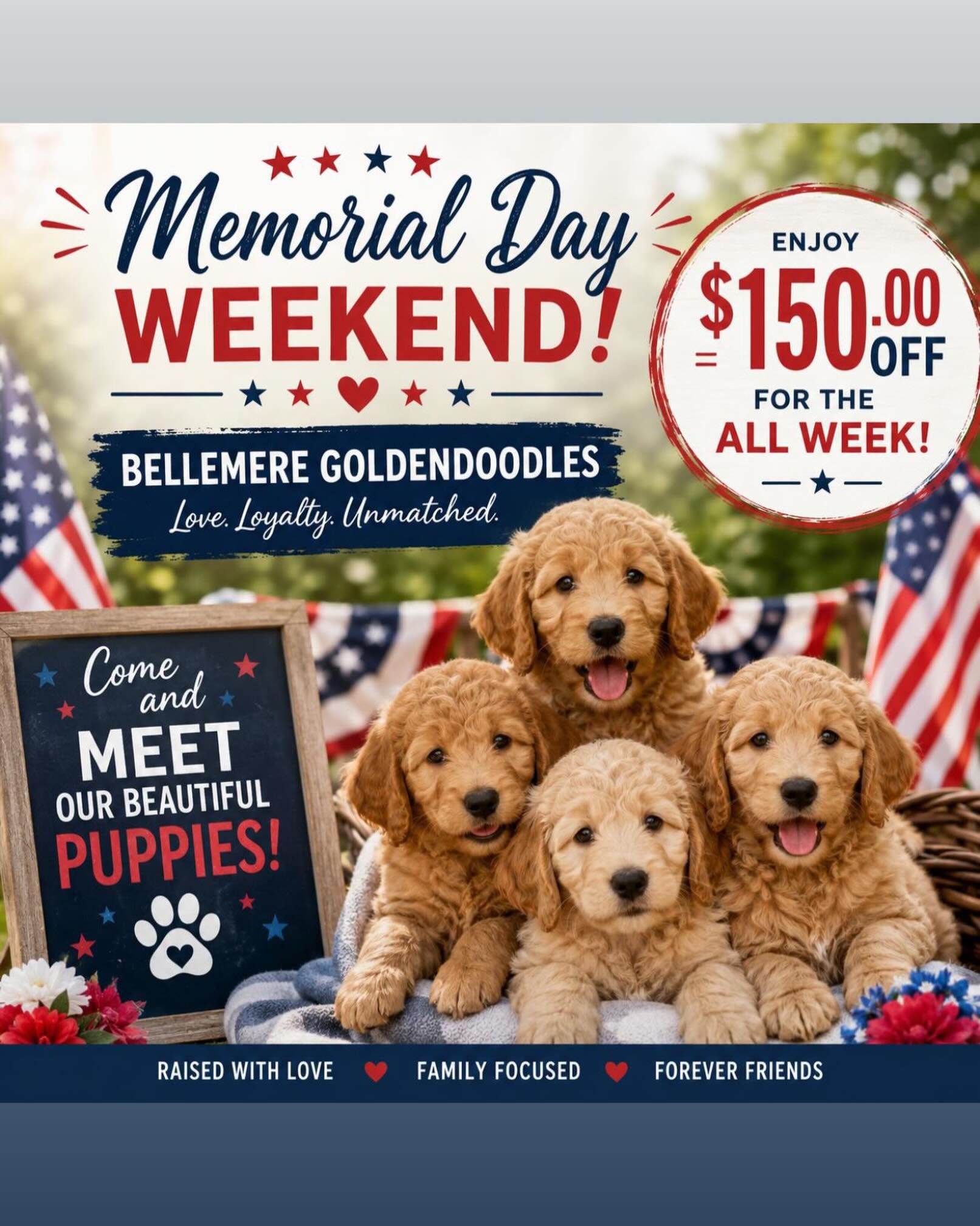 Special for Memorial Day 🐾🐶🐶🐶 we going to have special offers with a few puppies 🐶 they looking for a lovely 🥰 family and forever homes!! , you can follow us on Bellemeregoldendoodles.com or contact us 615-609-4695 .