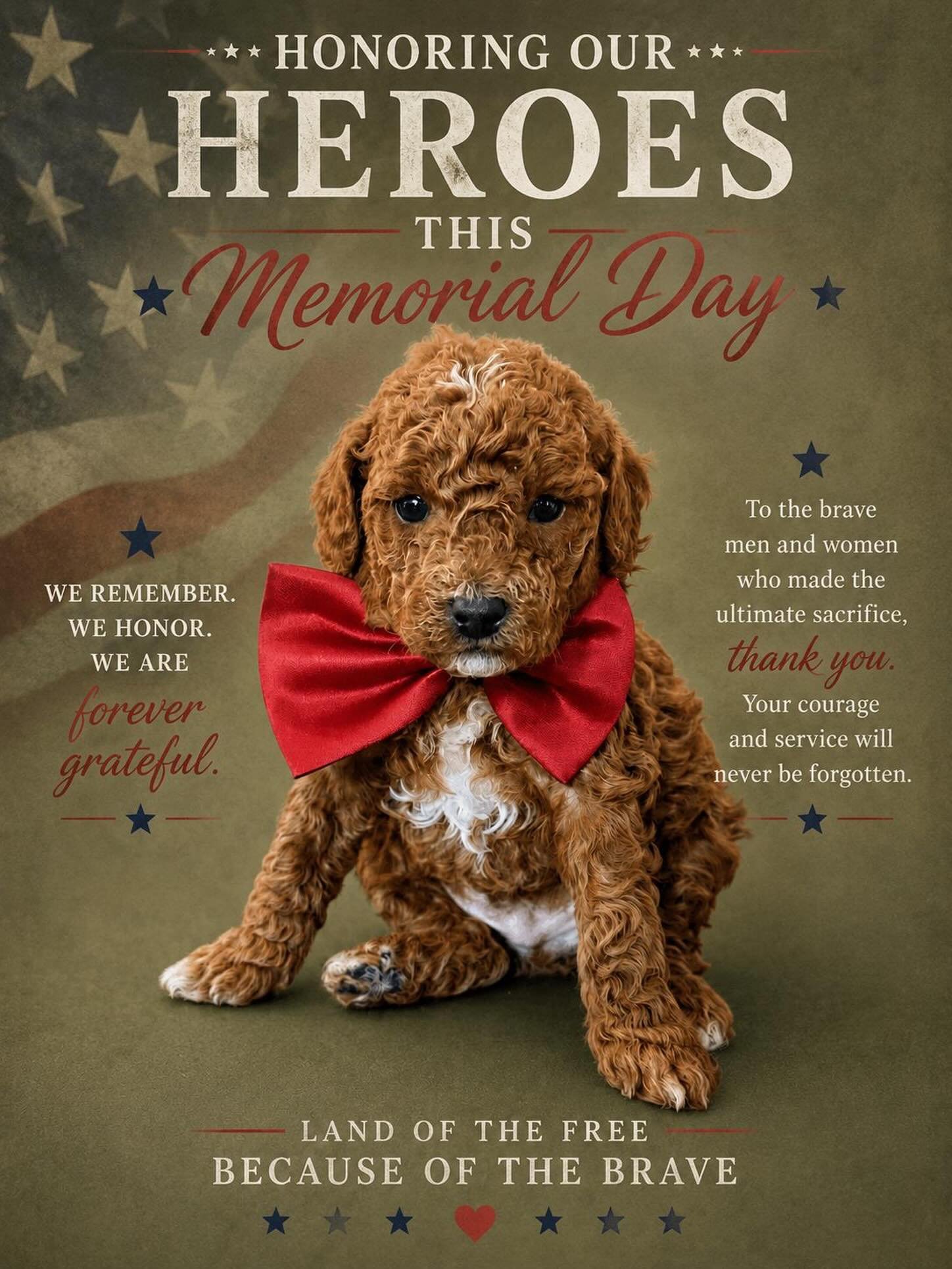 🇺🇸🐾 At Bellemere, we celebrate Memorial Day 🐾🇺🇸

Today we honor and remember the brave men and women who gave everything for our freedom ❤️🤍💙

Because of their sacrifice, we get to enjoy the simple blessings&mdash;family, home, and the uncond