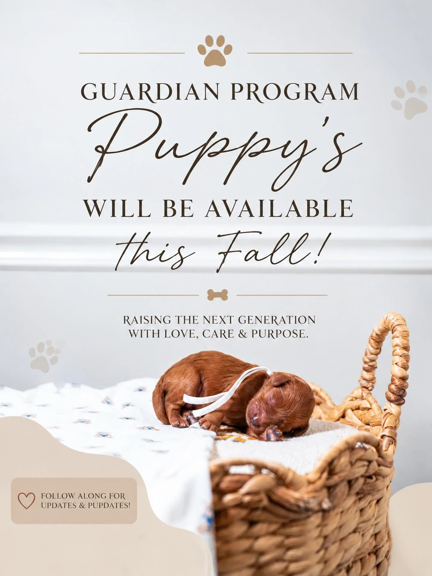 🍂 Guardian Program Puppies Available This Fall! 🐾

We will have select puppies available for our Guardian Program this fall!

If you&rsquo;re interested in welcoming a beautiful Goldendoodle into your family, we encourage you to complete the Guardi