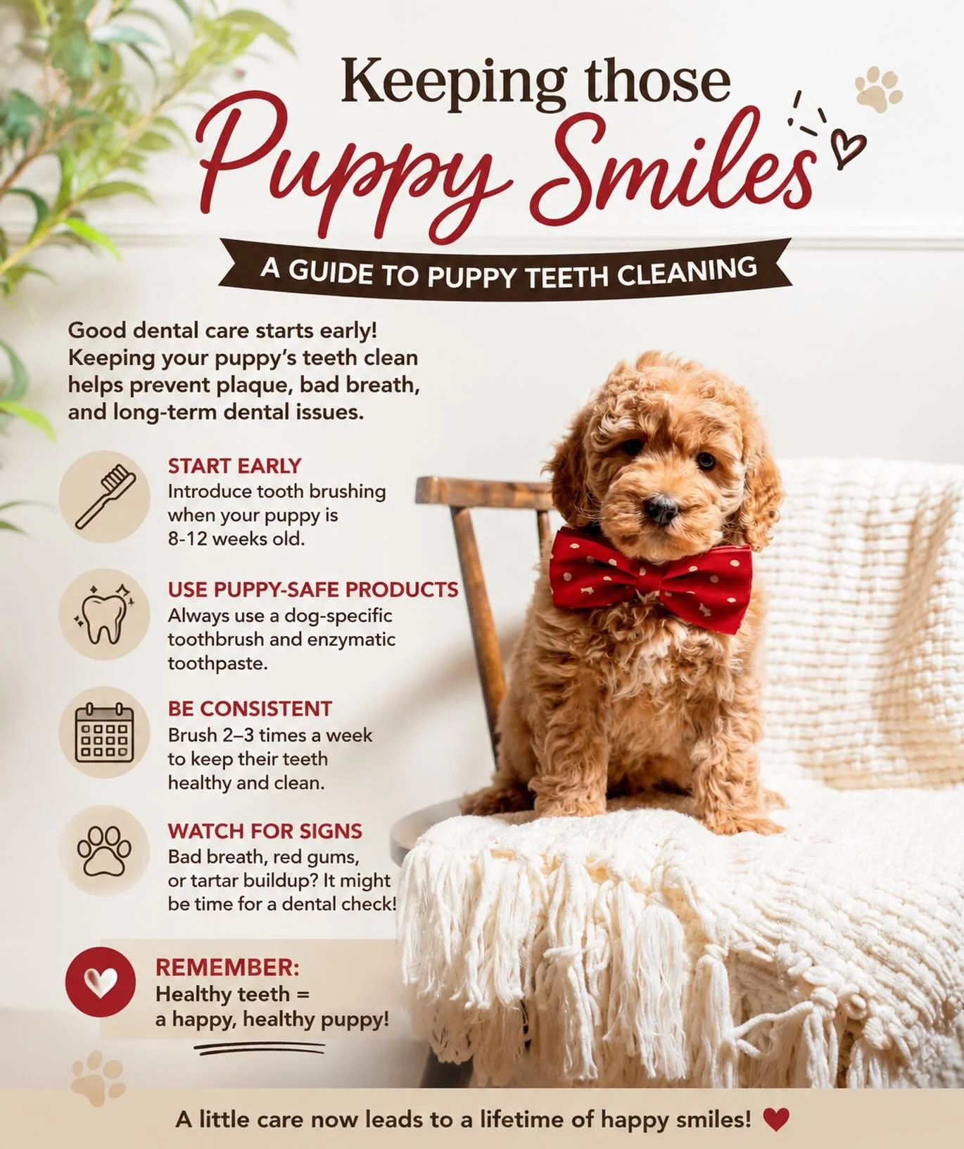 🦷 Puppy Teeth Cleaning Tips 🐶

Did you know that good dental care should start when your puppy is young? Keeping your puppy&rsquo;s teeth clean helps prevent plaque buildup, bad breath, and future dental problems.

✨ Puppy Dental Care Basics:
&bull