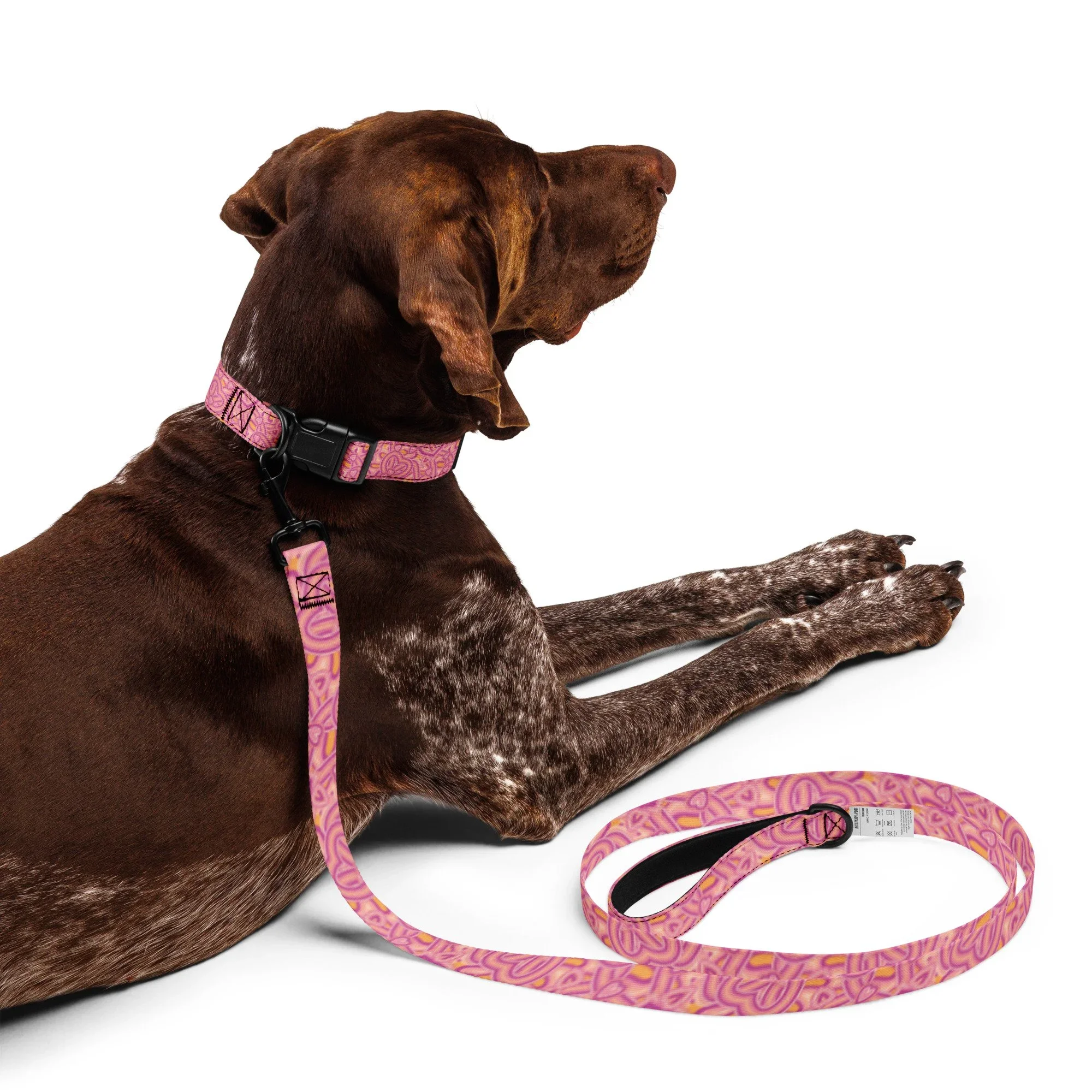pet-collar--leash-white-l-front-69054a00ba5a2.webp