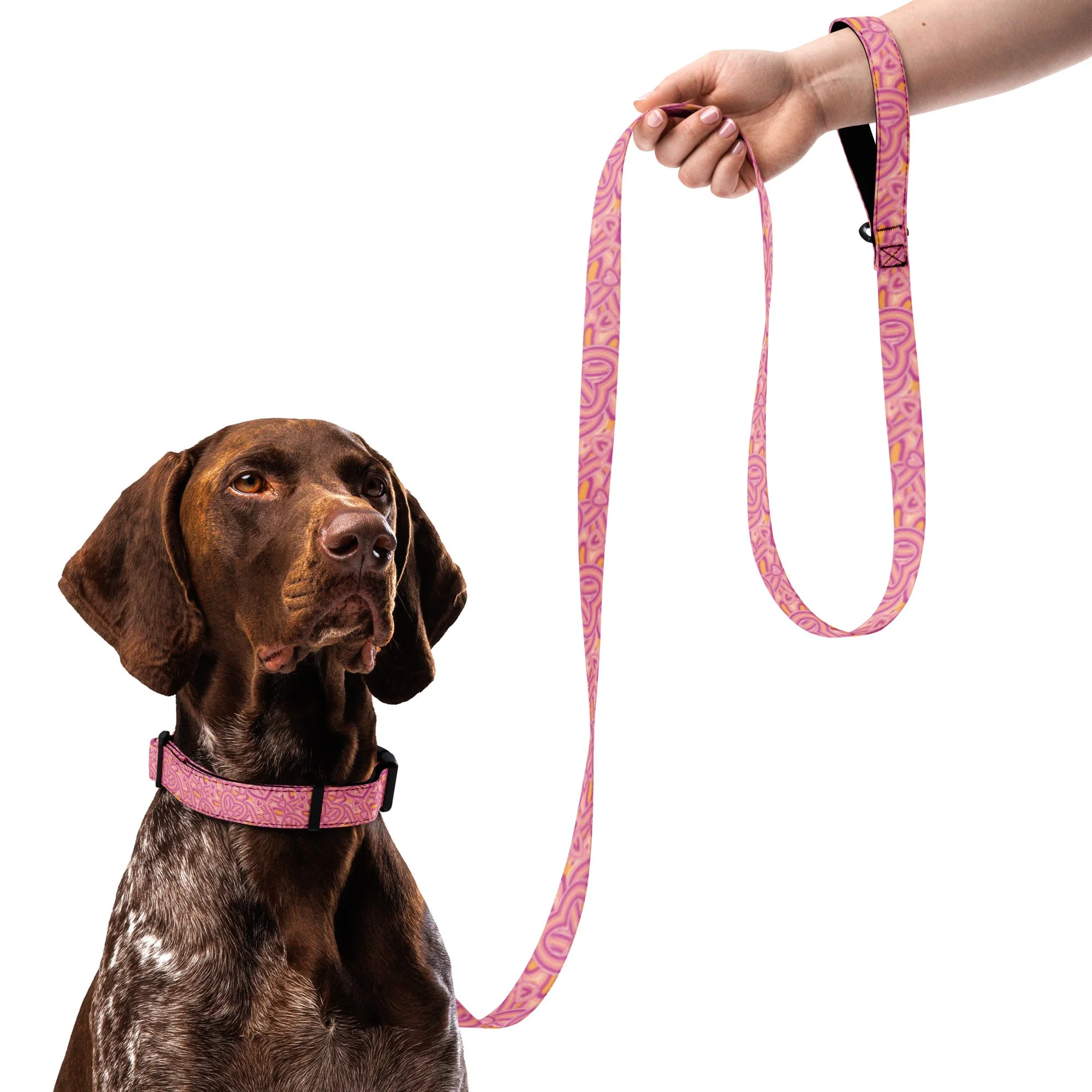 pet-collar--leash-white-l-front-69054a00bab2a.jpg