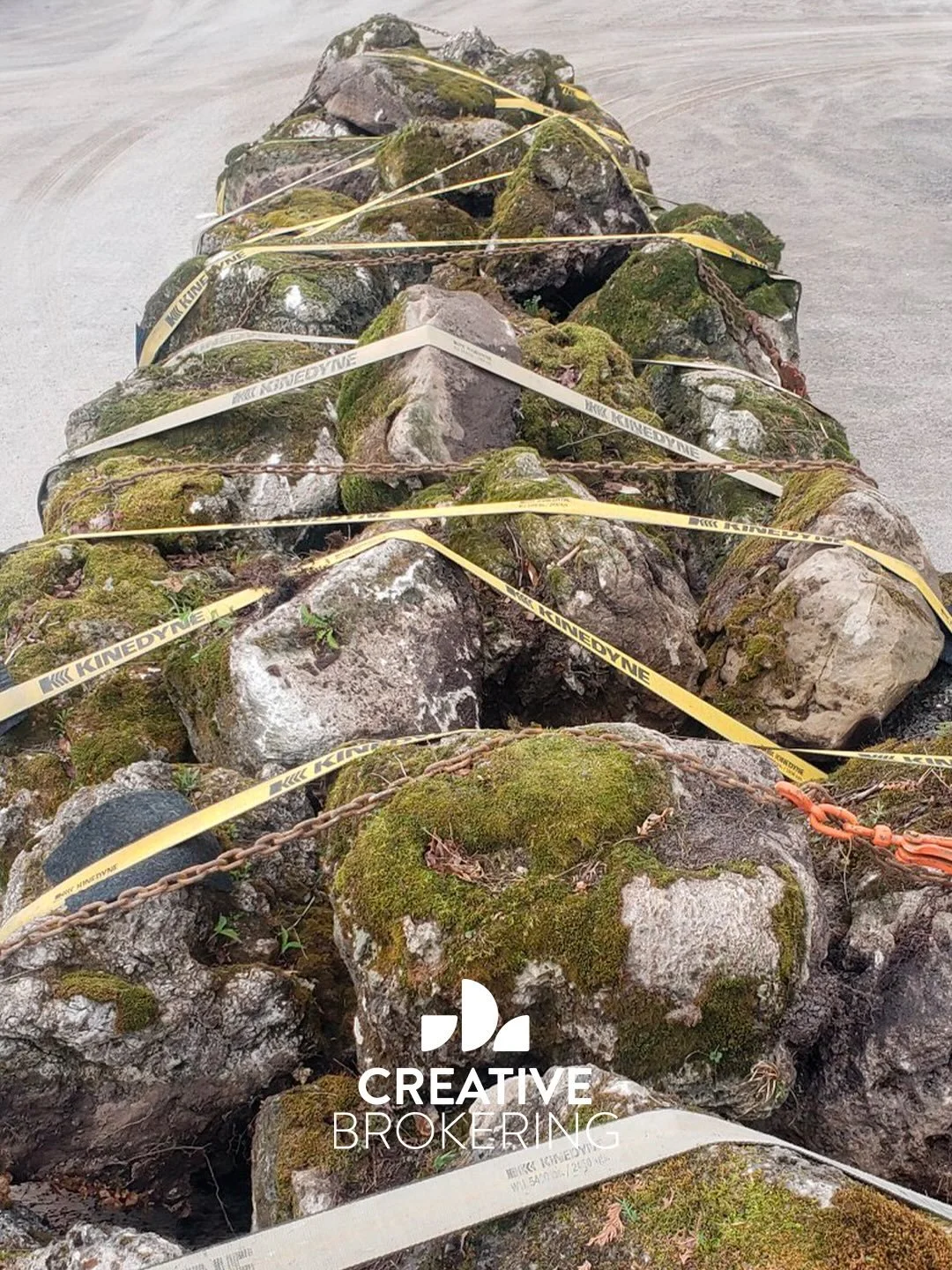 A (little) forest in every stone.
&mdash;
Chilton Field Stone > Delivering to Cedar Springs, USA