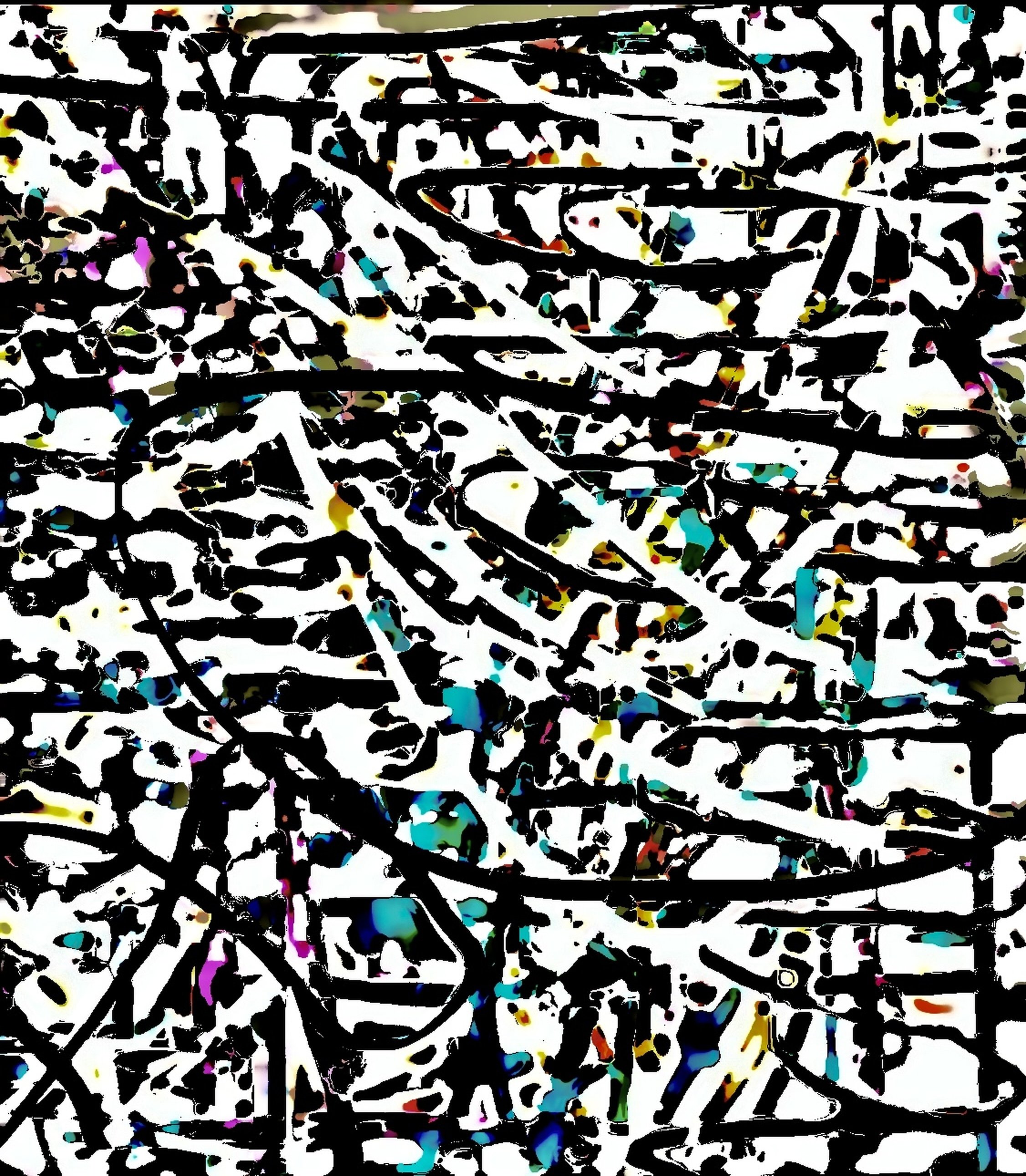 IMG_6667_enhanced.jpeg