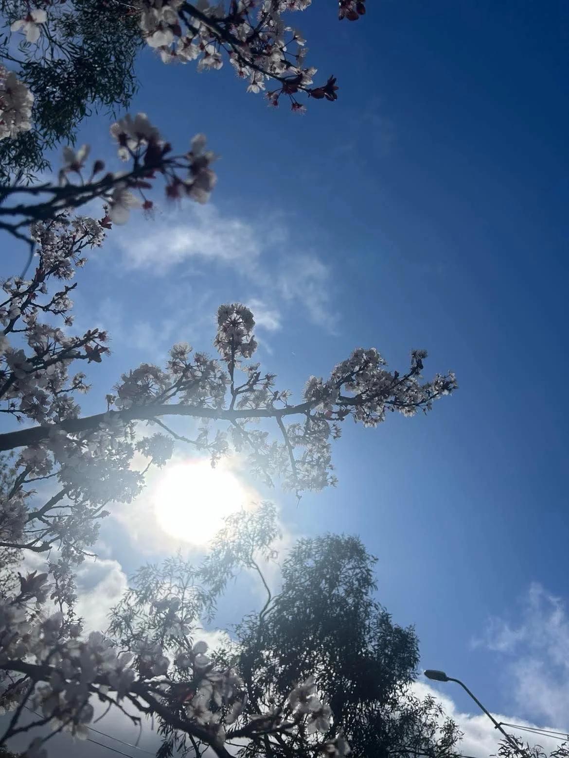 Who Could Benefit from Seeing a Mental Health Occupational Therapist?