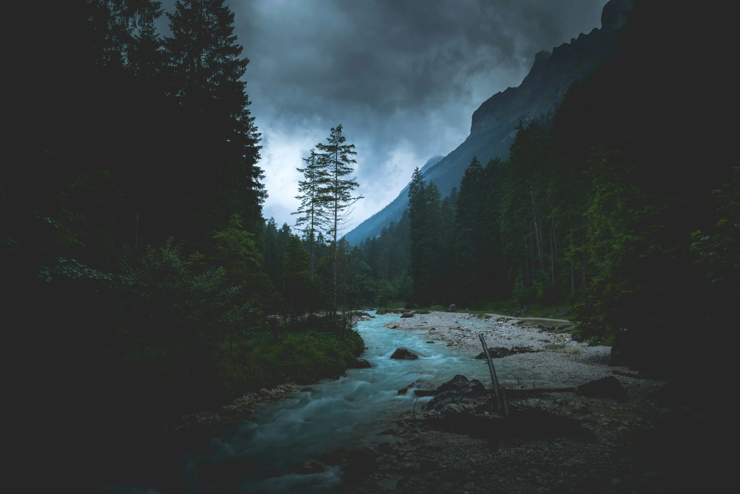A rugged mountain landscape with a rushing river flowing through a dense pine forest under a cloudy sky.