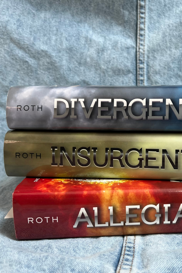 My Thoughts on DNFing a Book