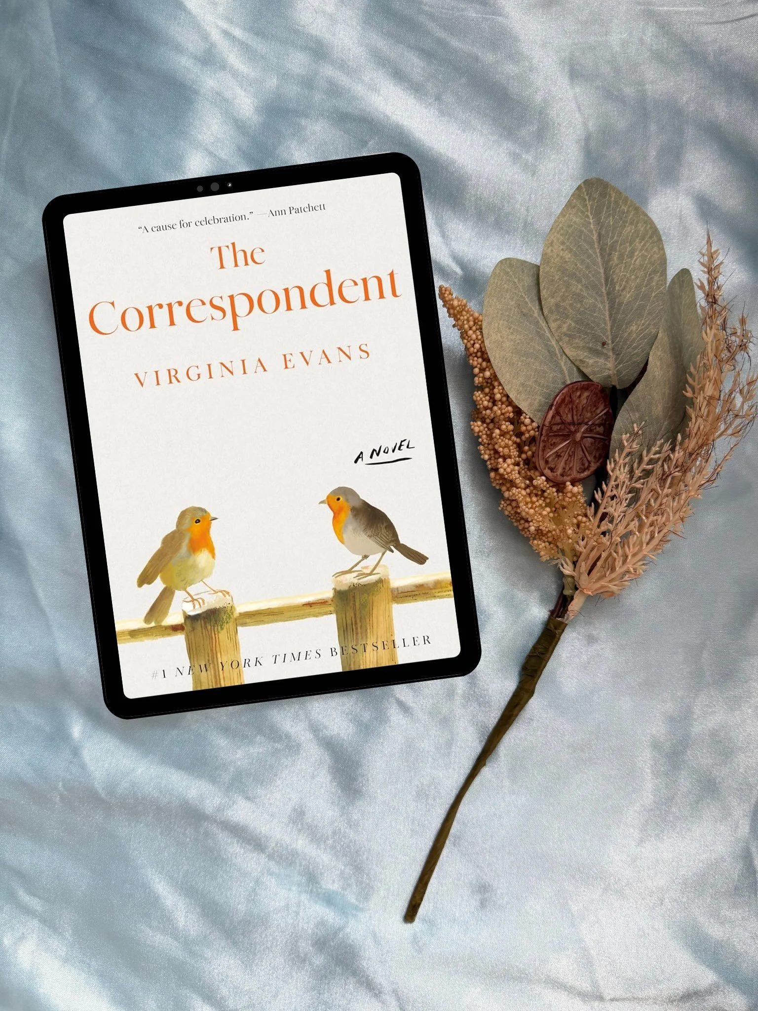 &ldquo;Remember: words, especially those written, are immortal.&rdquo;

The Correspondent by Virginia Evans is such a beautiful reminder of the power of words, human connection, and new beginnings. I absolutely adored it! 💌

When was the last time y