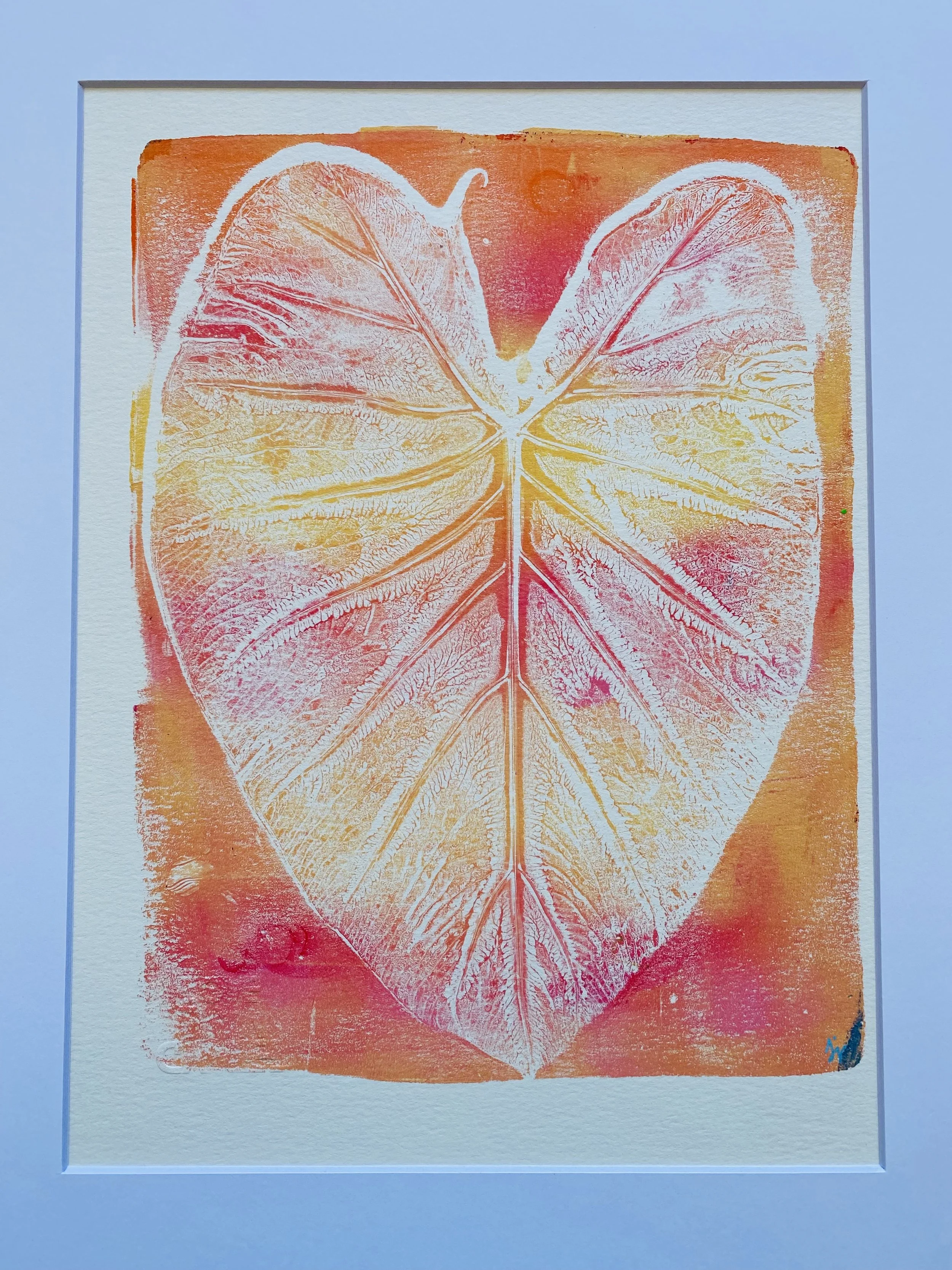 Elephant Ear Leaf (orange + red + yellow blend)