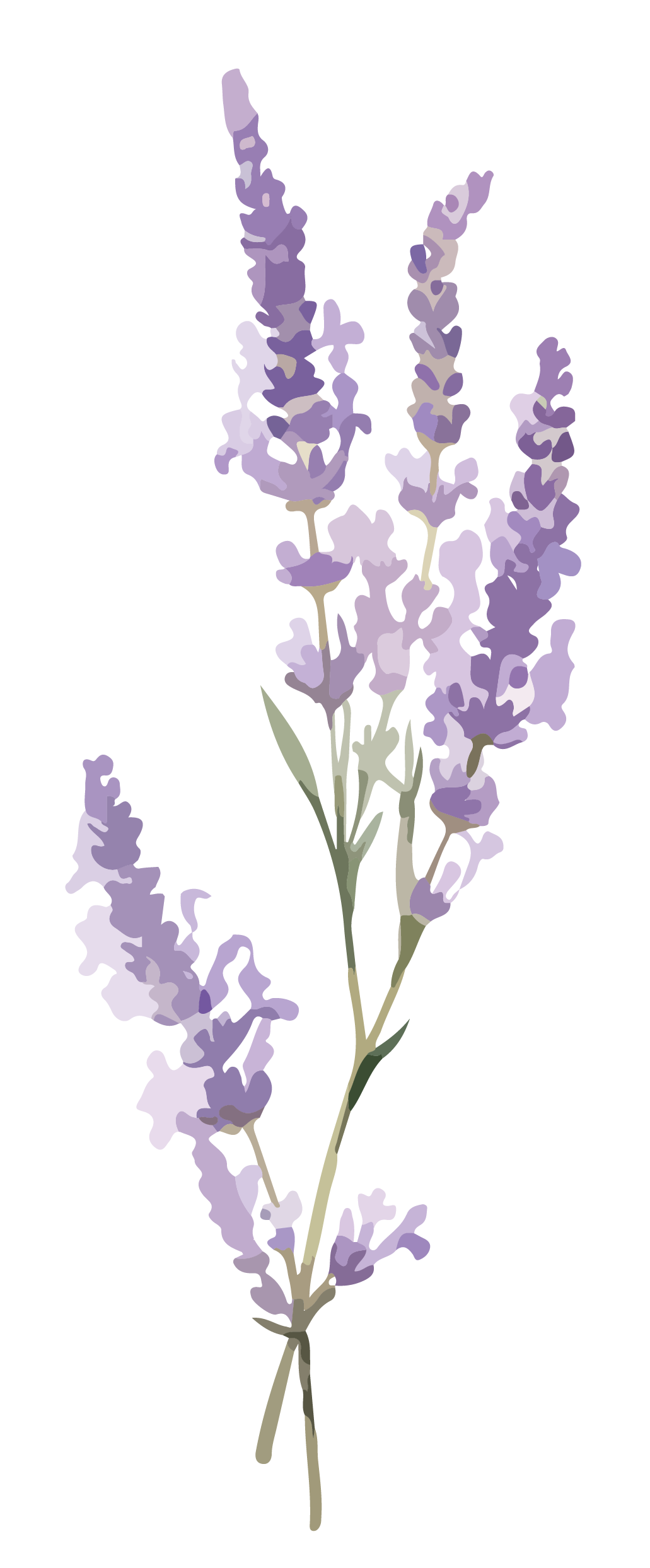 A stylized illustration of a purple flower with multiple layers of petals.