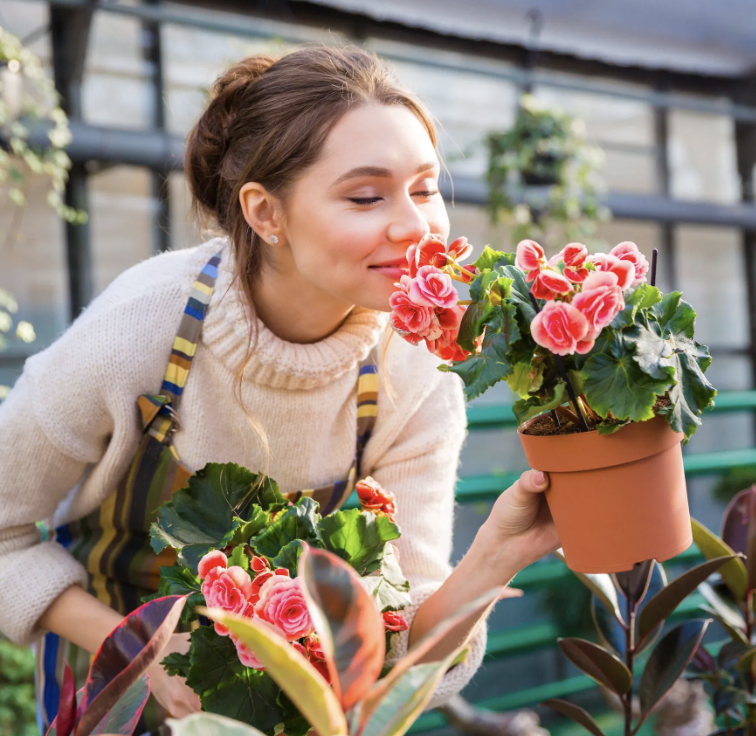 Health &amp; Wellbeing Benefits of Home Gardening